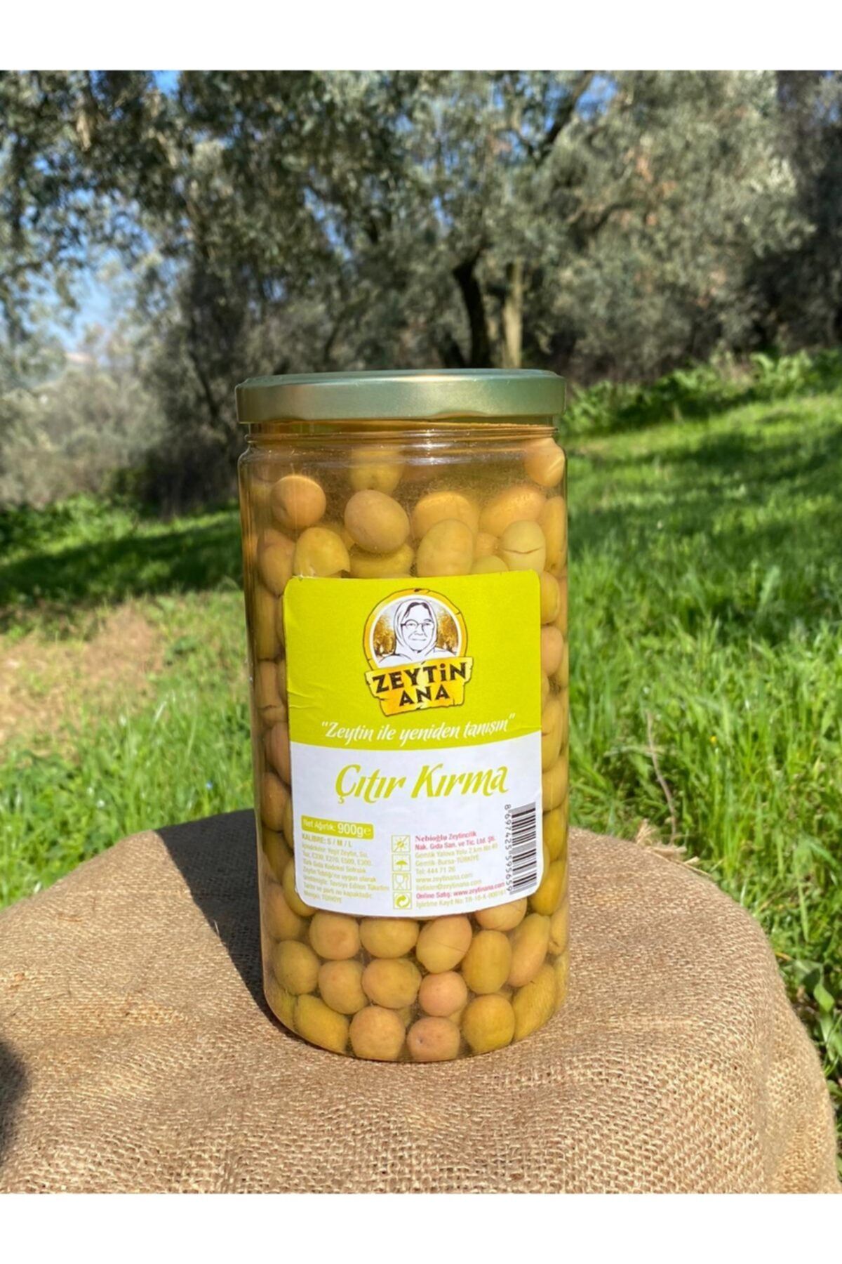 ZEYTİN ANA Çıtır Taş Kırma Yeşil Zeytin 900 gr