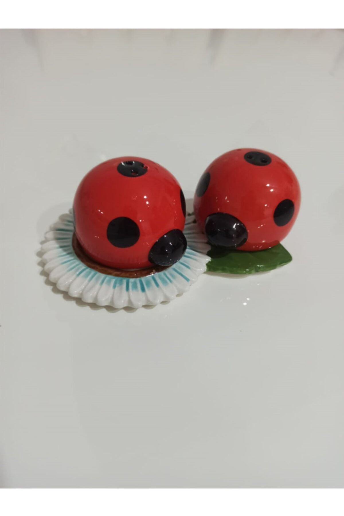 Pumpkin Home Uğurböceği Desenli Seramik Tuzluk Biberlik