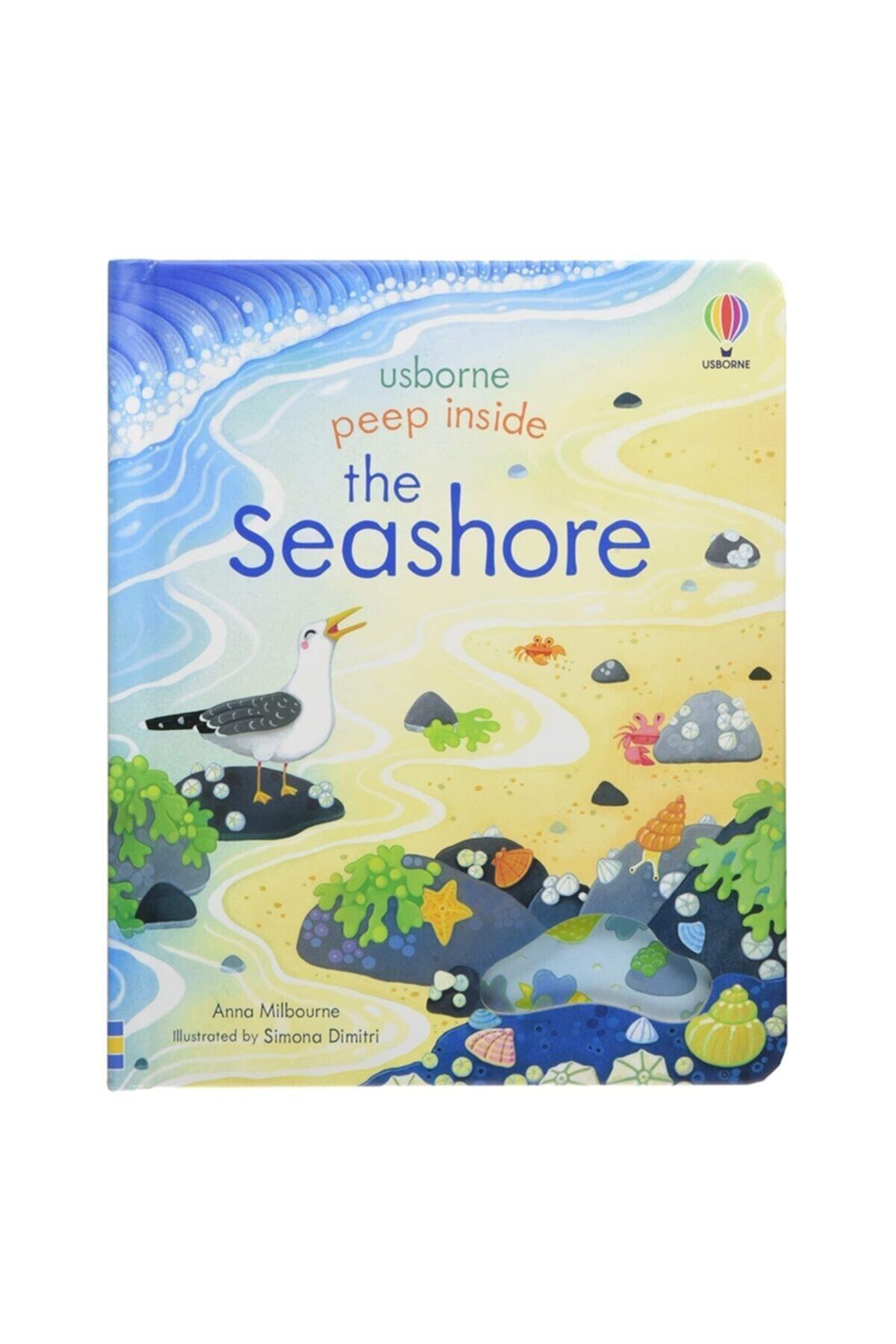 Usborne Peep Insıde The Seashore