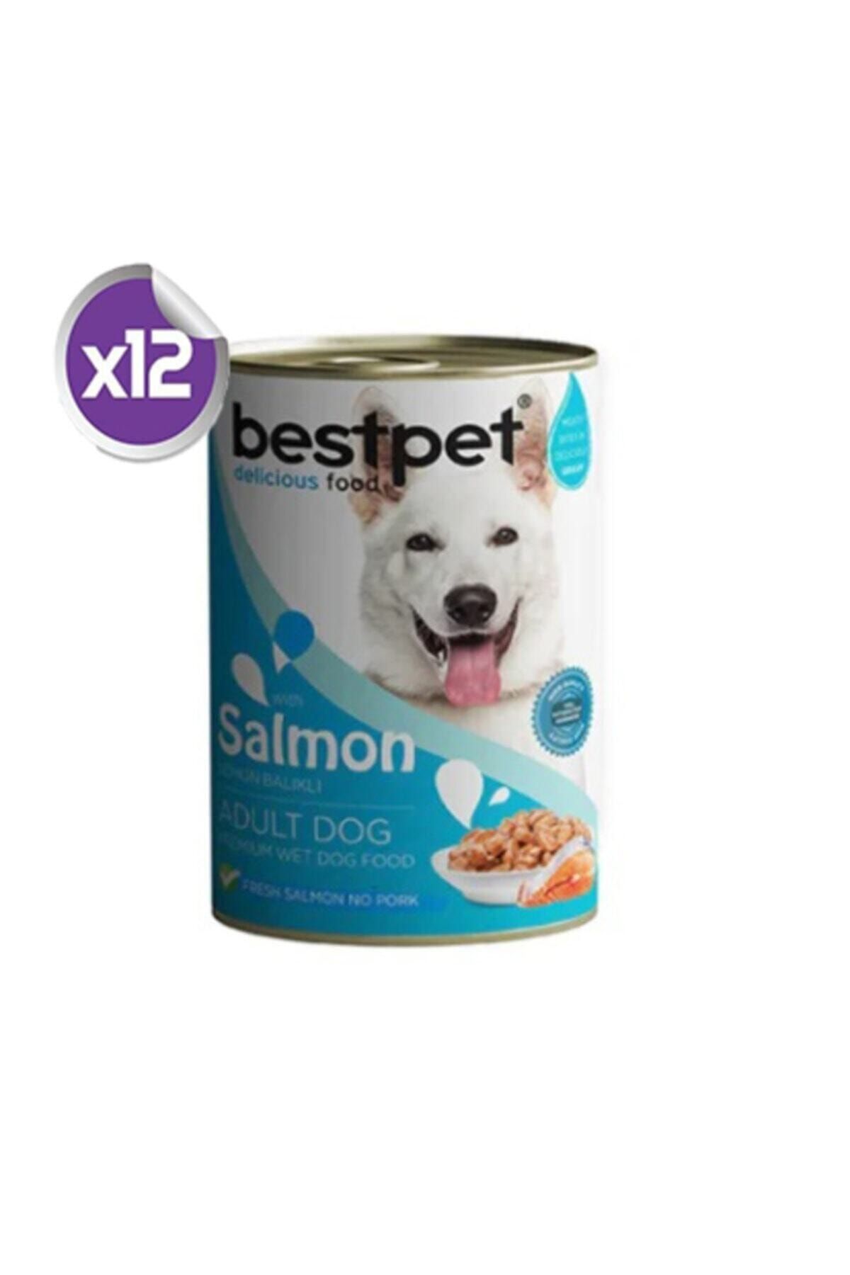Bestpet Somonlu Soslu Konserve Yetişkin Köpek Maması 12 X 400 Gr