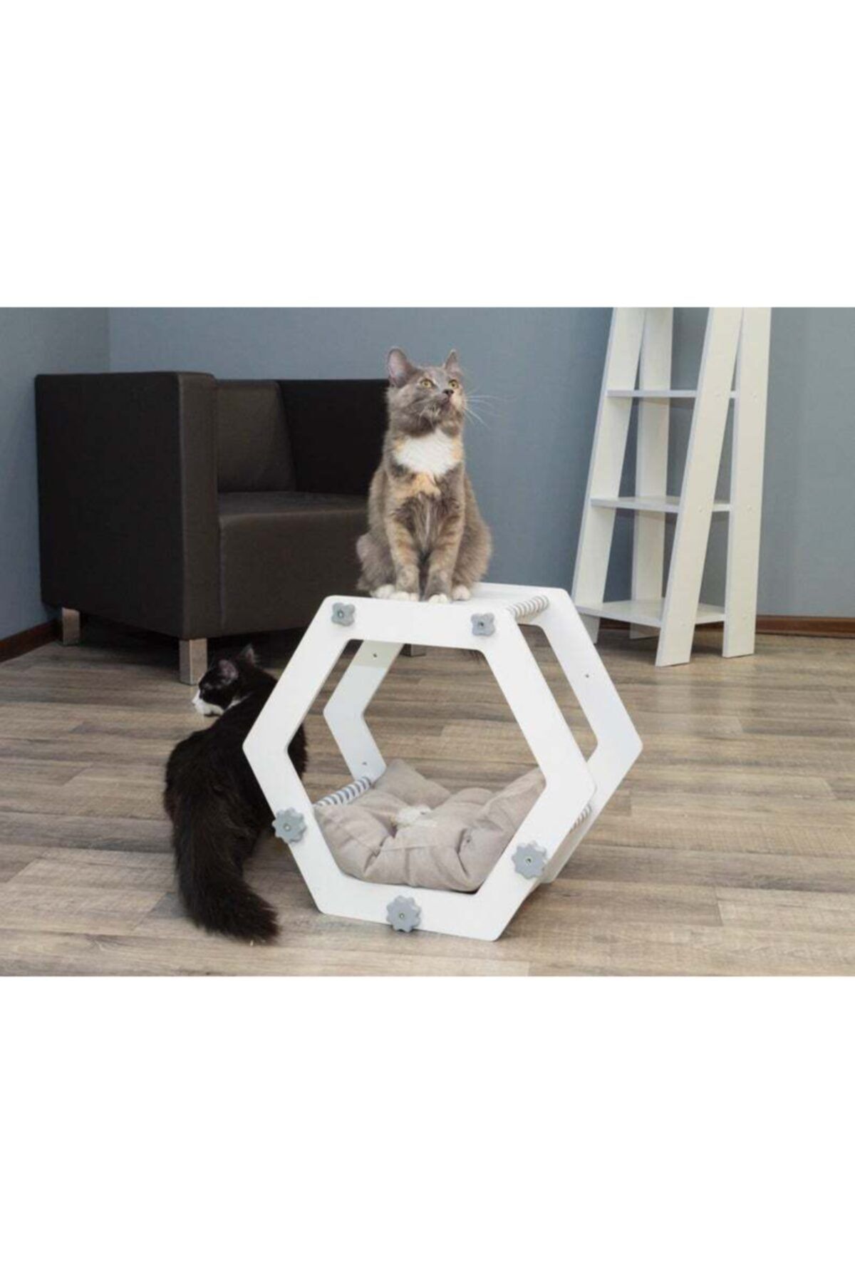 behamus Ahşap Kedi Evi