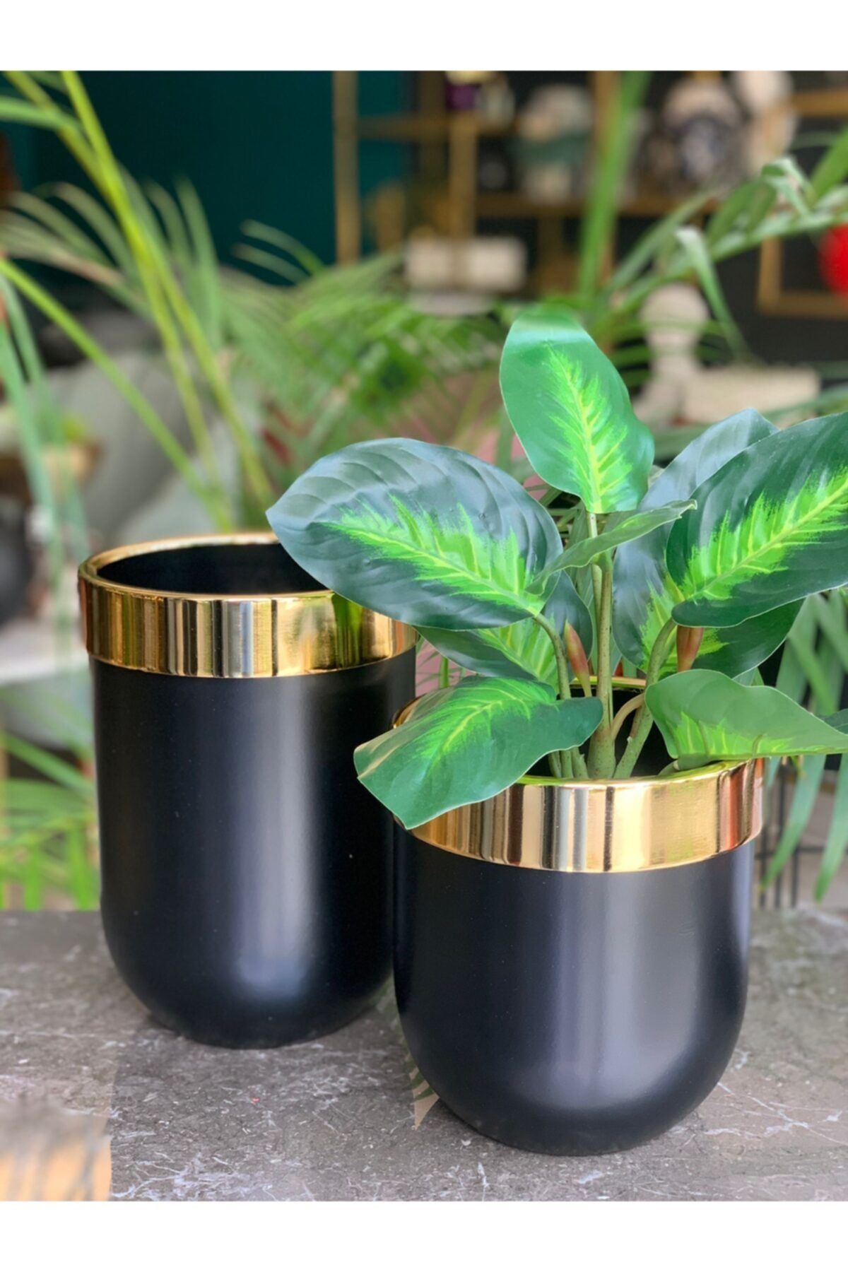 Marandmore Metal Silindir Büyük Boy Saksı- Gold