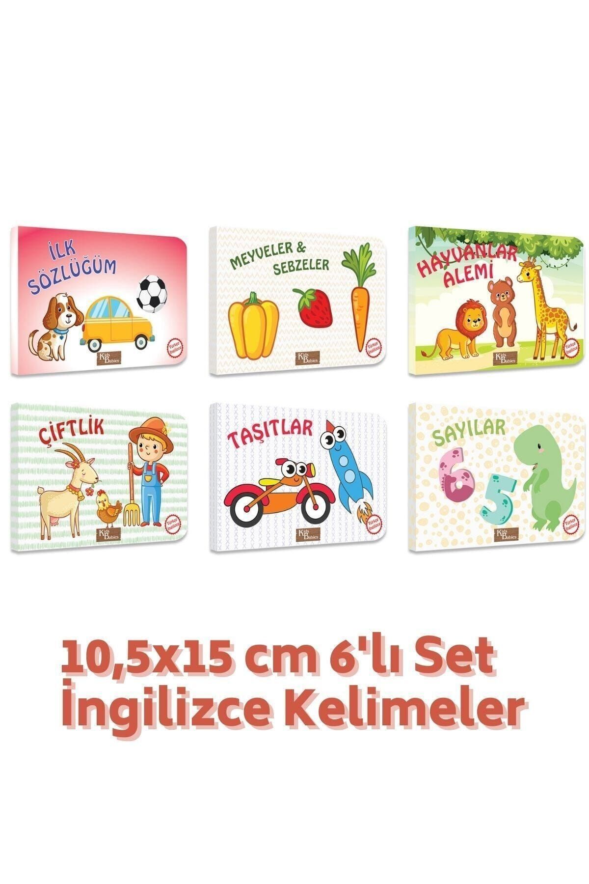Kids Babies Türkçe Ingilizce Temel Kelimeler Kitapları 6'lı Set 10,5x15cm