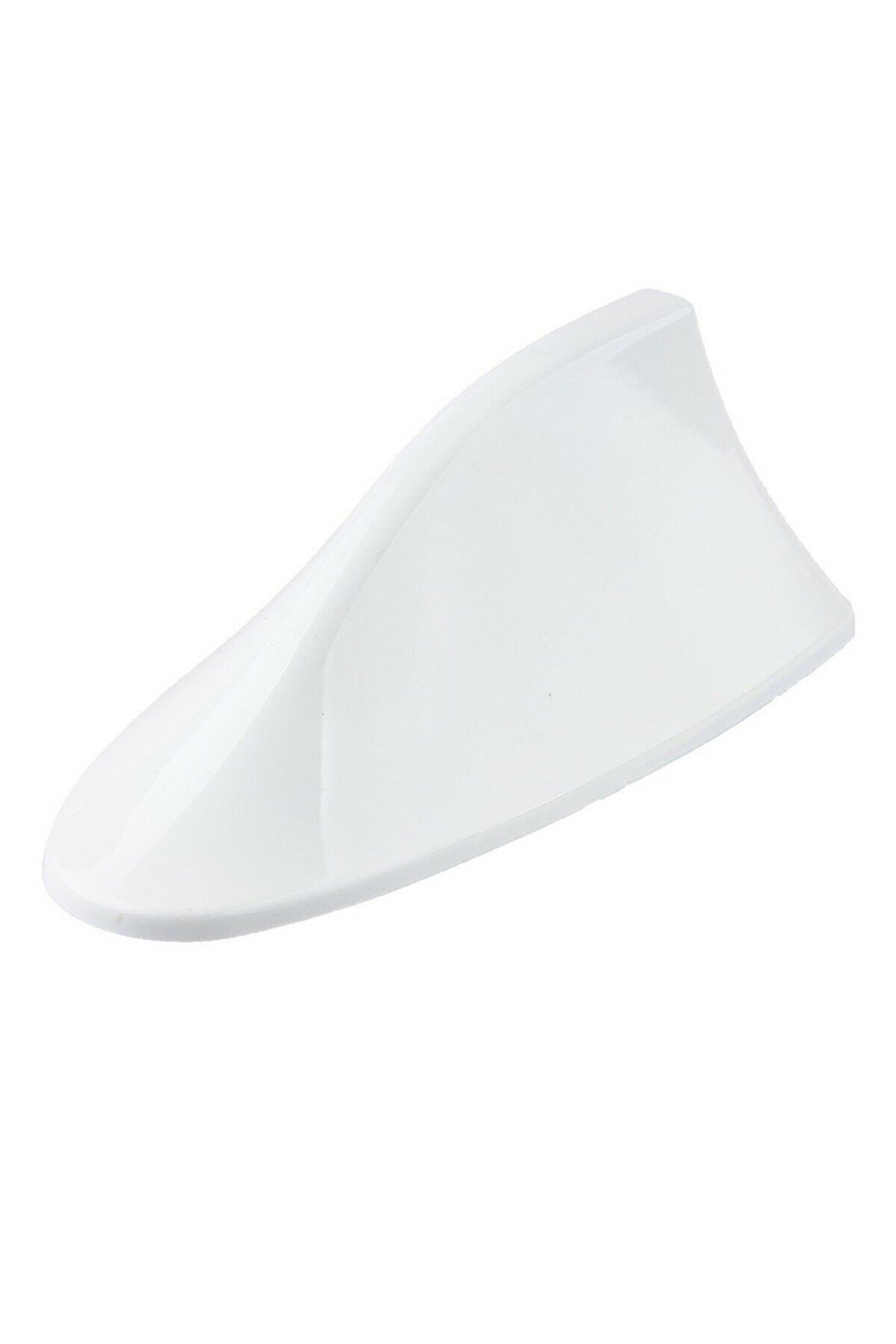 Berenin Dünyası Bmw 5.50 Coupe Uyumlu Araç Beyaz Köpek Balığı Sırtı Shark Anten Balina Yüzgeç Alıcı