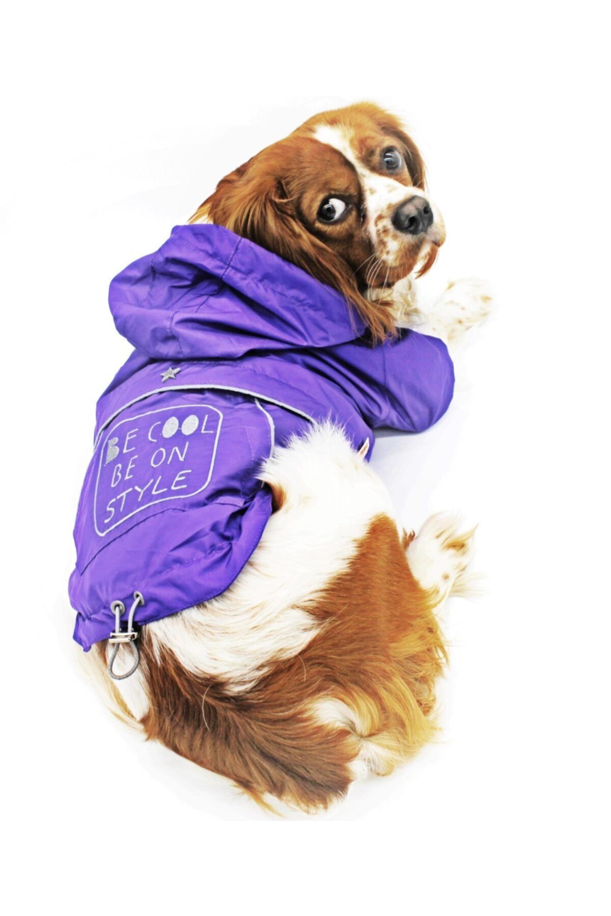 Pawstar Mor Be Cool Nakışlı Kedi Köpek Mont Kedi Köpek Kıyafeti