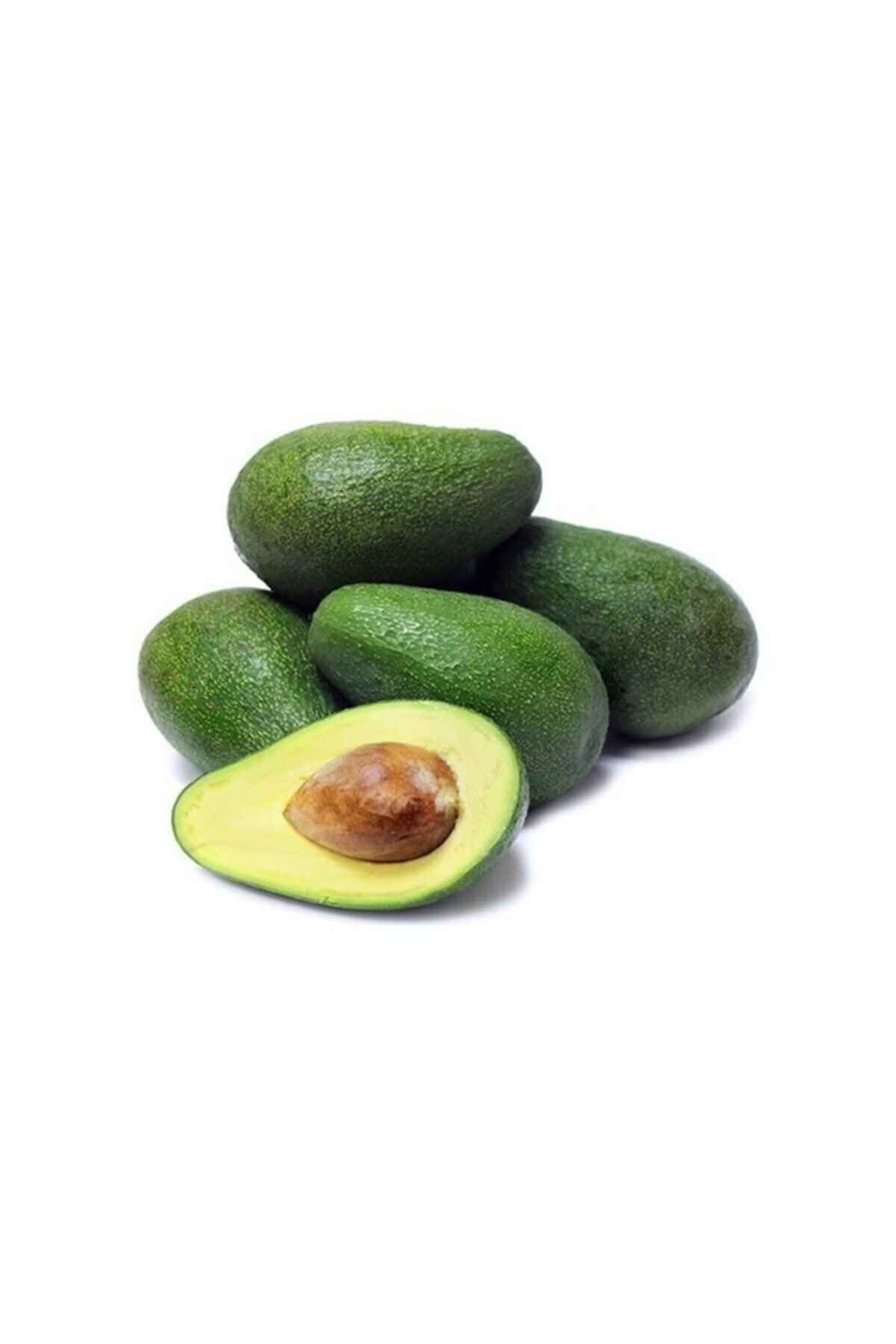 Avokado - 4 Adet - (adet 250-300 Gr.) - Iyi Tarım Uygulaması
