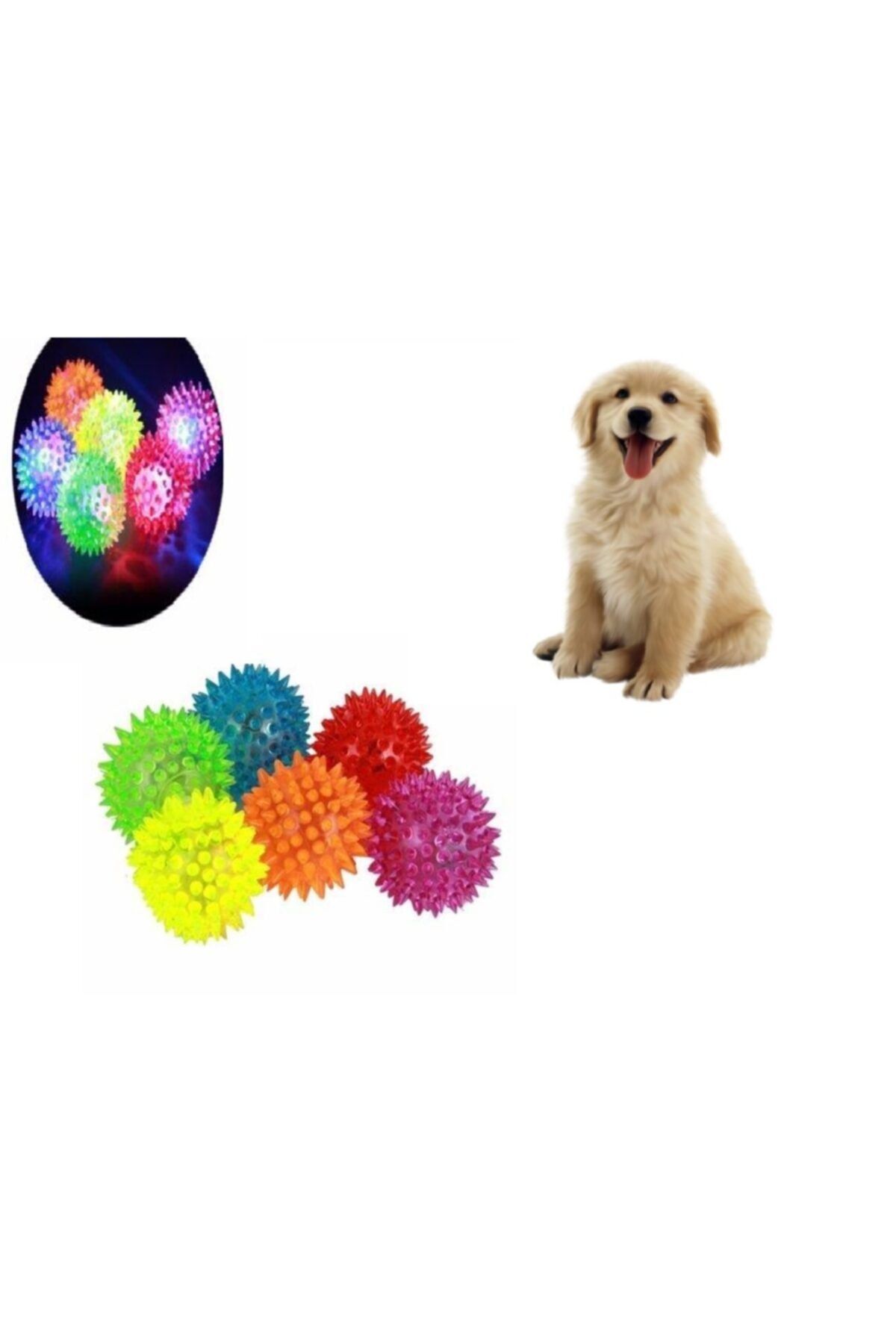 5DM Sesli Işıklı Köpek Oyuncağı Topu Dikenli Diş Kaşıma Topu