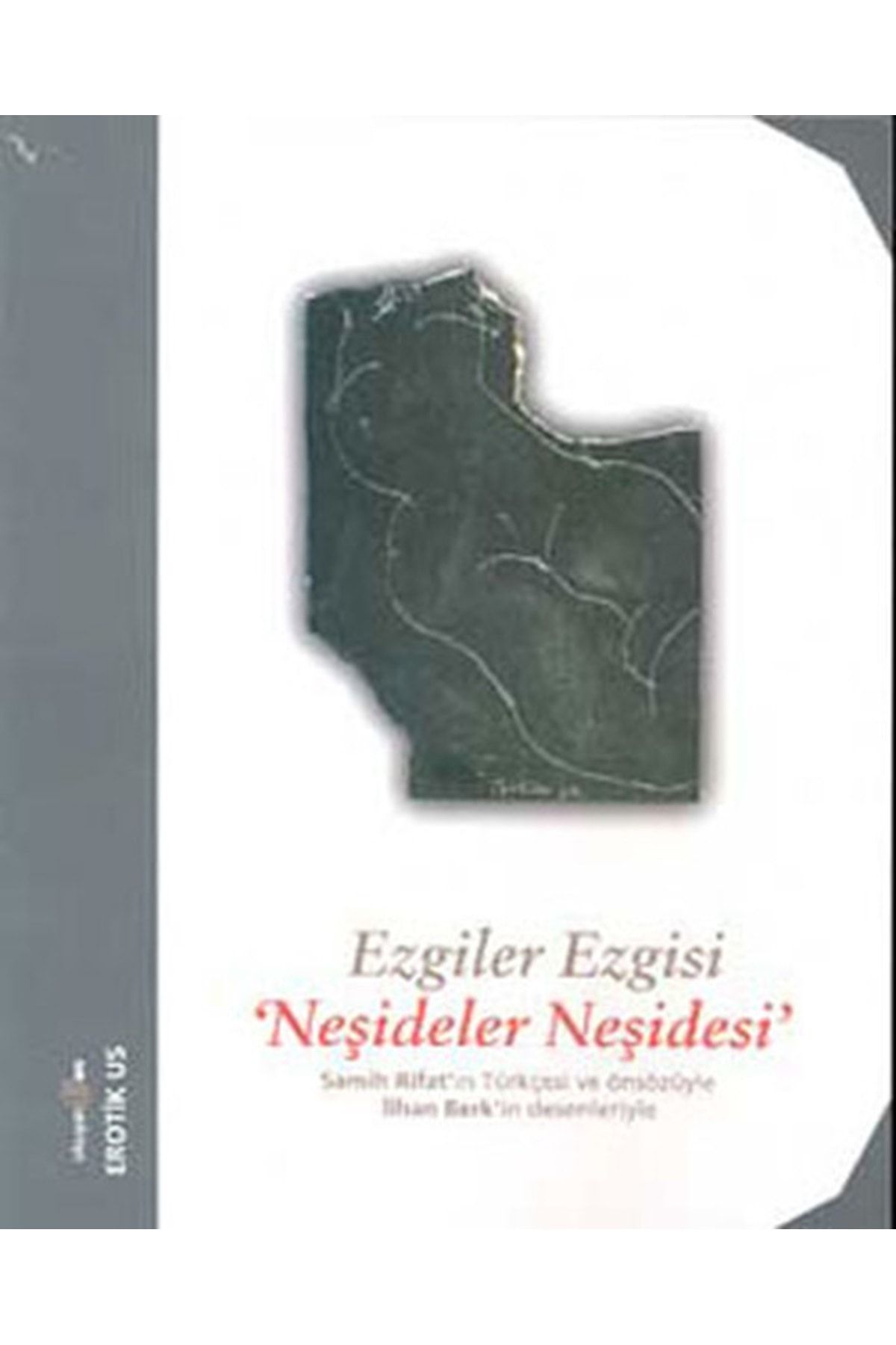 Okuyan Us Yayınları Ezgiler Ezgisi Naşideler Naşidesi