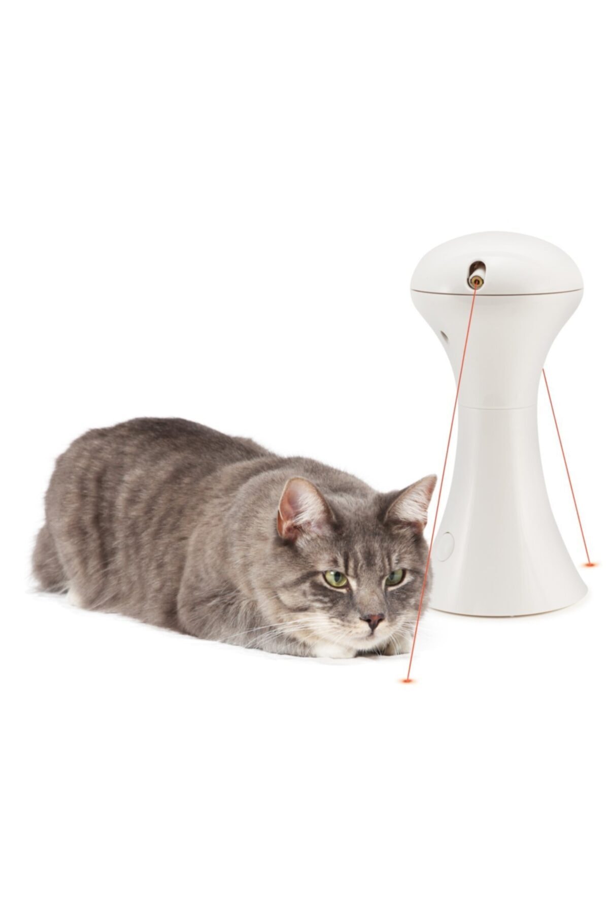 PetSafe Frolicat Multilaser