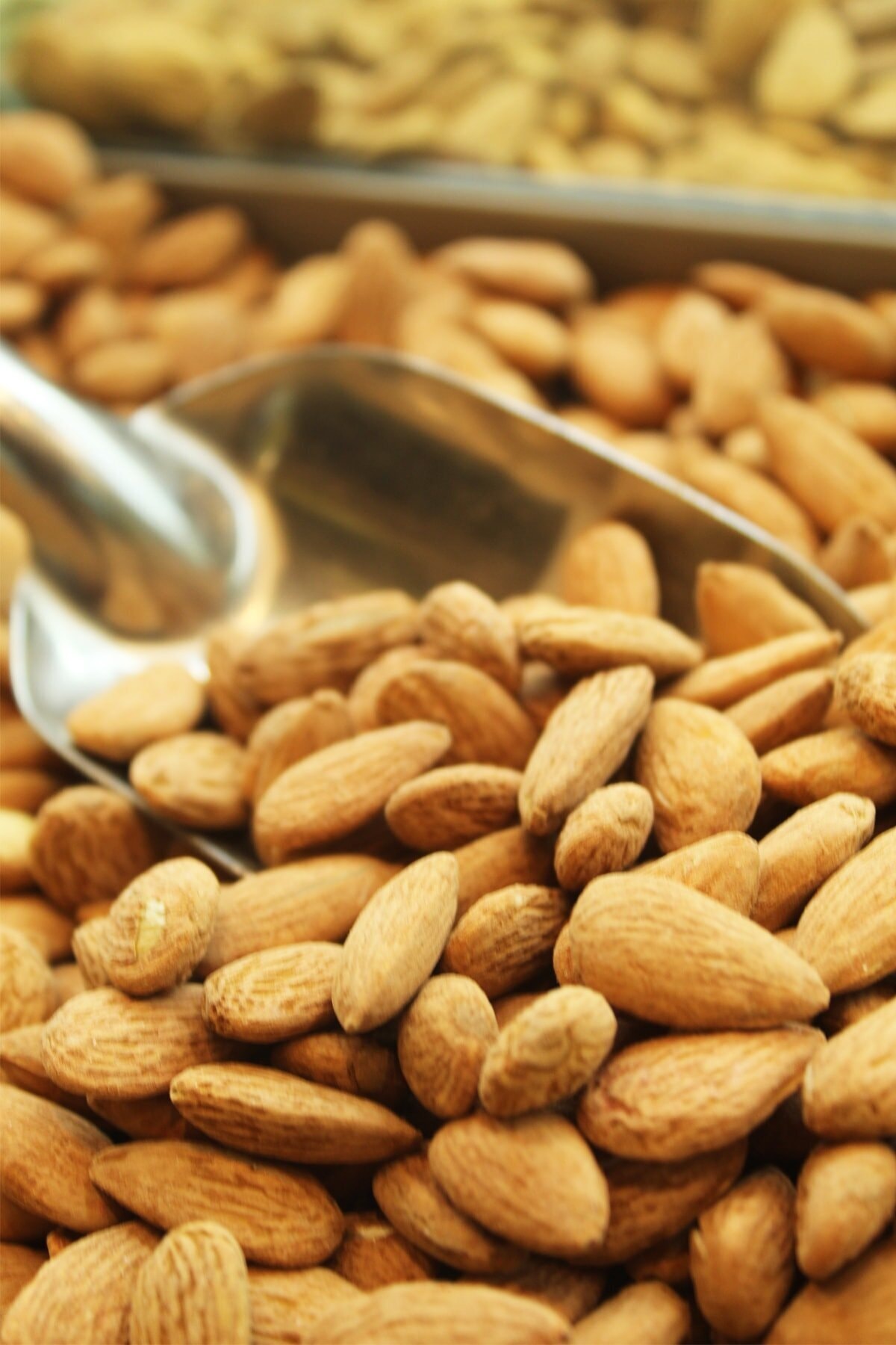 Hasatım Kuruyemiş Çiğ Badem (1 Kg)