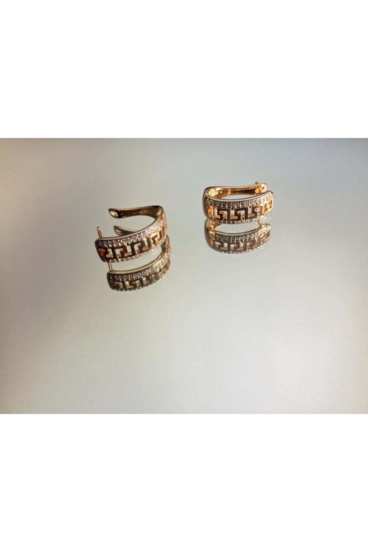 SELİN ACCESSORY Vıp Kararmaz Vintage Fendi Luxury Zirkon Taşlı Çelik Küpe