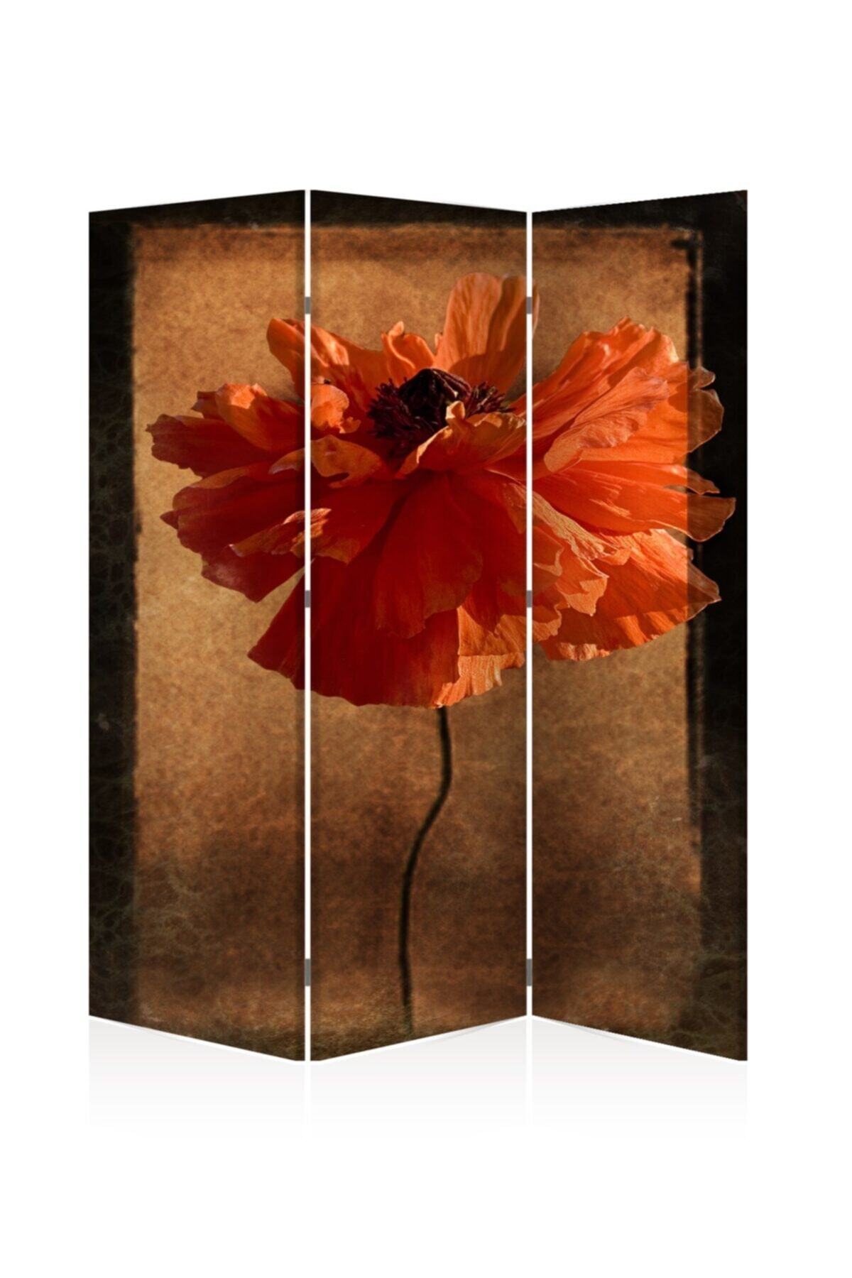 DECOBRITISH Gelincik 3 Kanatlı Tekerlekli Paravan 122x182 cm 28