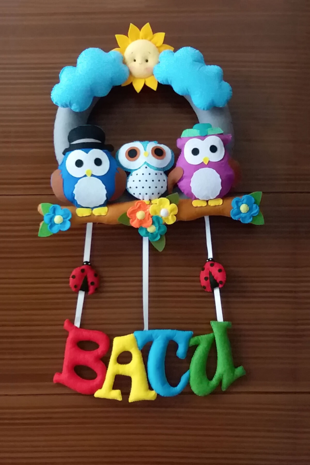 Renkli Hayallerim Batu Isimli Baykuş Bebek Odası Kapı Süsü