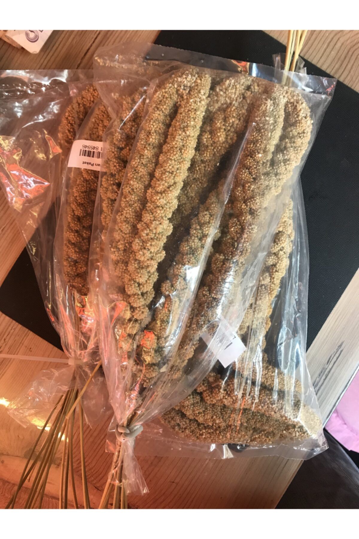 Sevda’nın Yeri Dal Darı