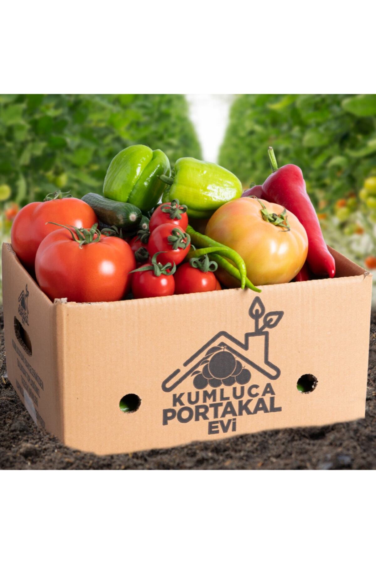 KUMLUCA PORTAKAL EVİ Sebze Paketi