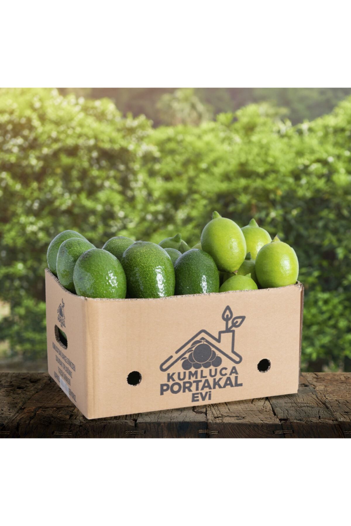 KUMLUCA PORTAKAL EVİ 20 Adet Avakado 2 kg Limon