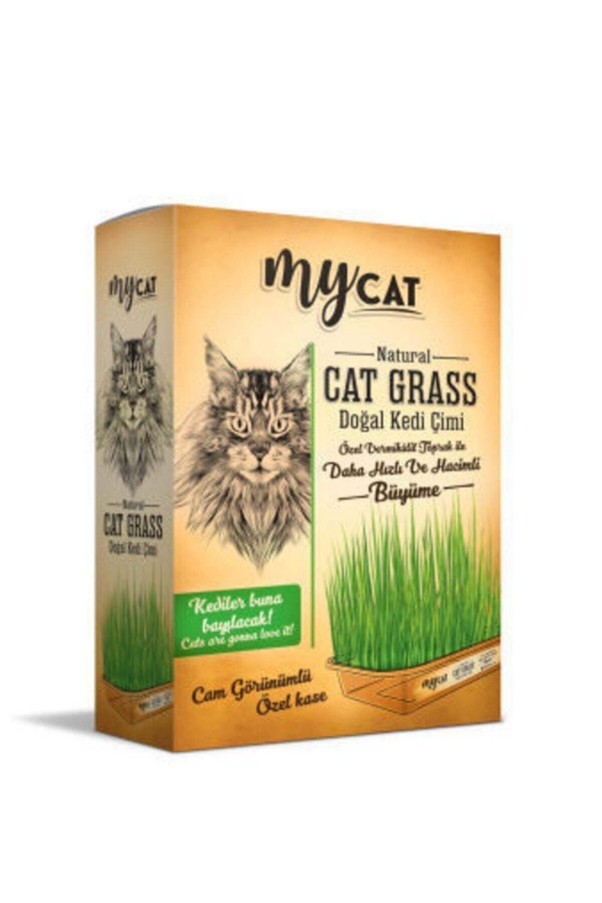 Çeşitli Mycat Doğal Kedi Çimi