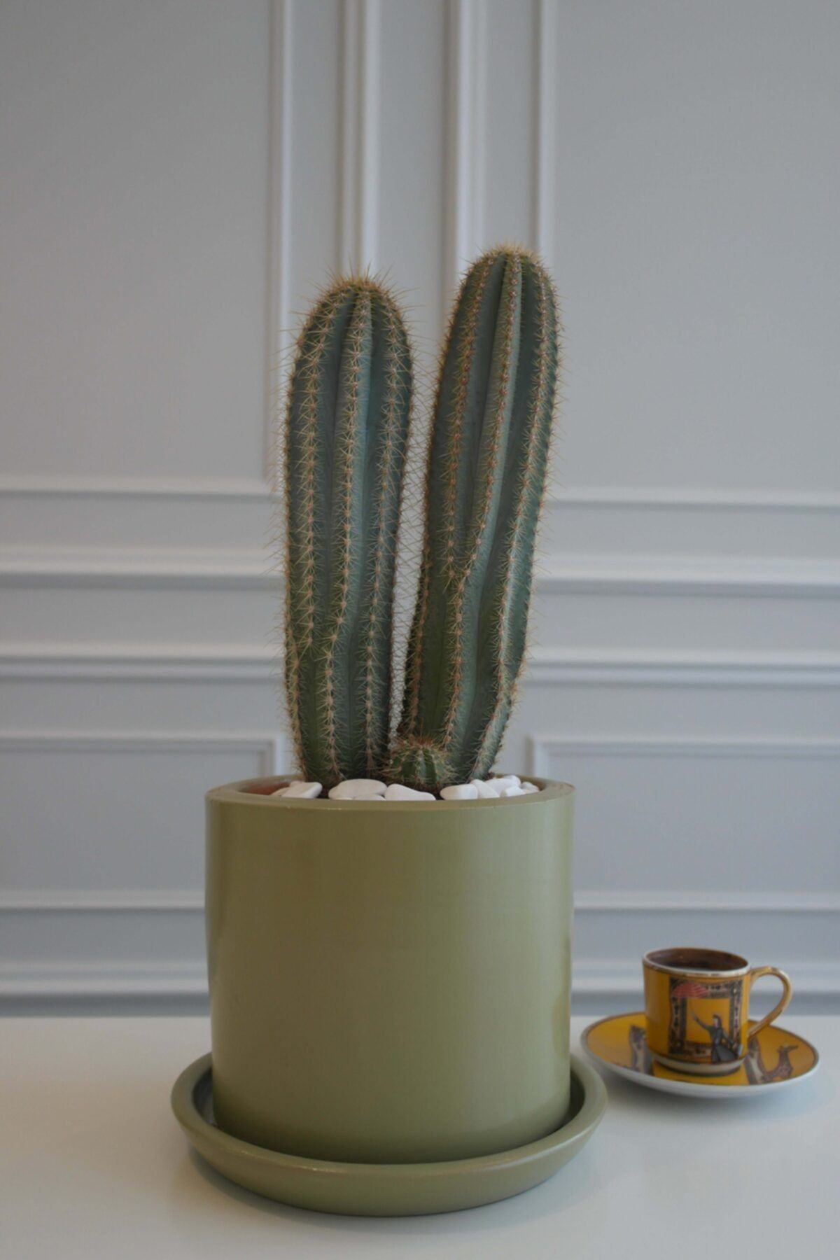 lalin greenhouse Saguaro Cactus Terracotta Saksılı Büyük Boy
