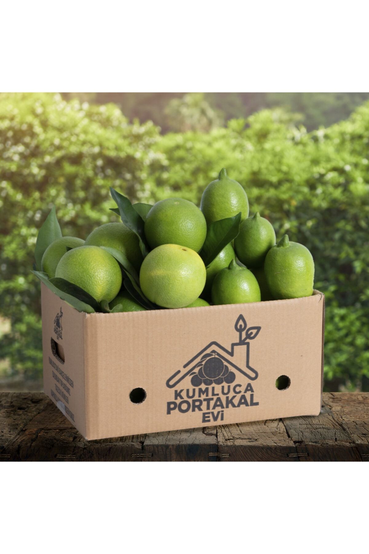 KUMLUCA PORTAKAL EVİ Portakal 6 kg +Limon 4 kg