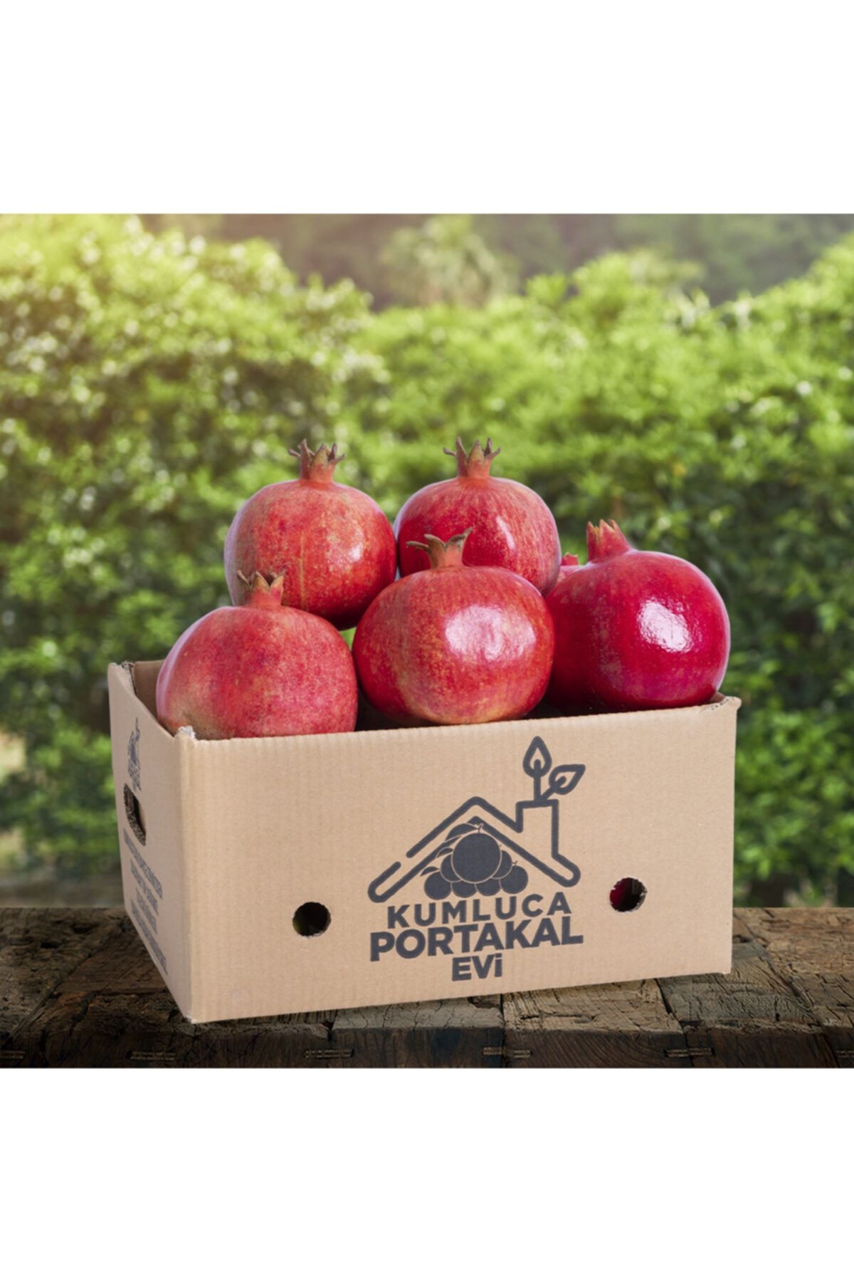 KUMLUCA PORTAKAL EVİ 10 Kg Nar