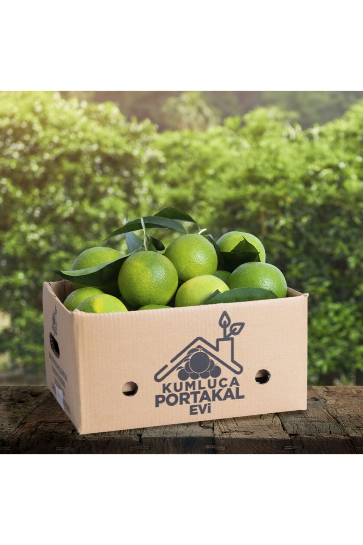 KUMLUCA PORTAKAL EVİ Finike Portakalı 10 Kg