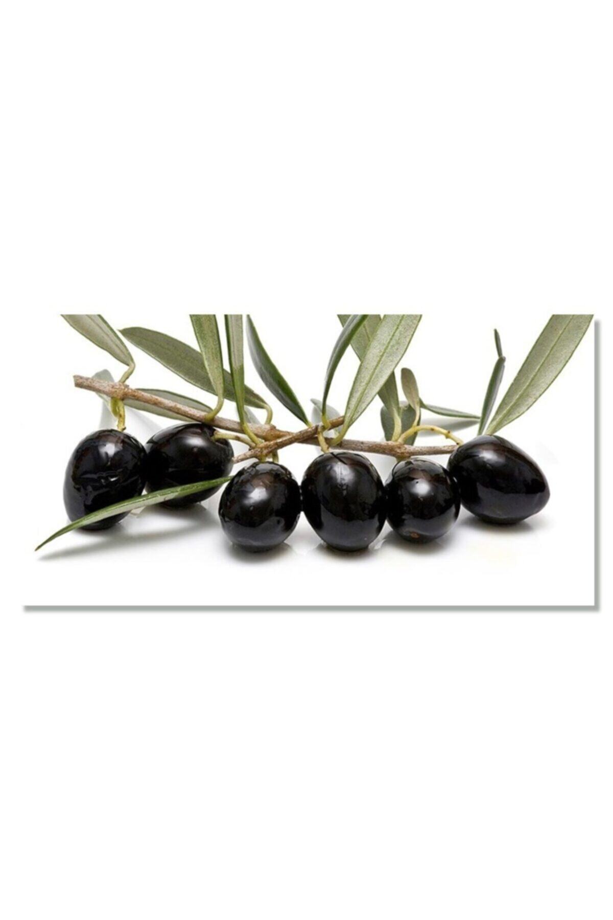 ÇİÇEKLİFE Esek Zeytin Fidanı Tüplüdür 1,5 Yaş 80 90 Cm Boy