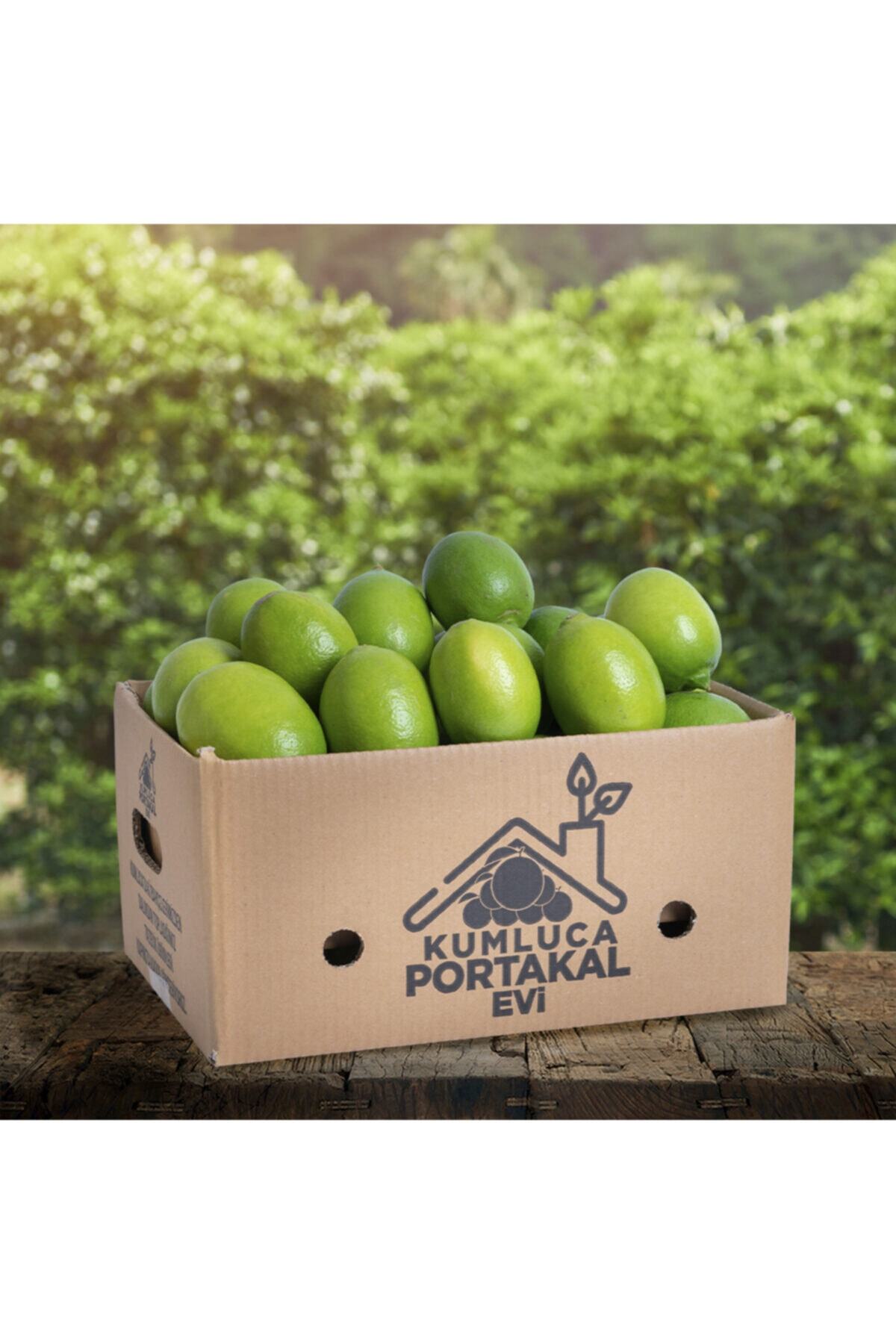 KUMLUCA PORTAKAL EVİ 10 kg Limon