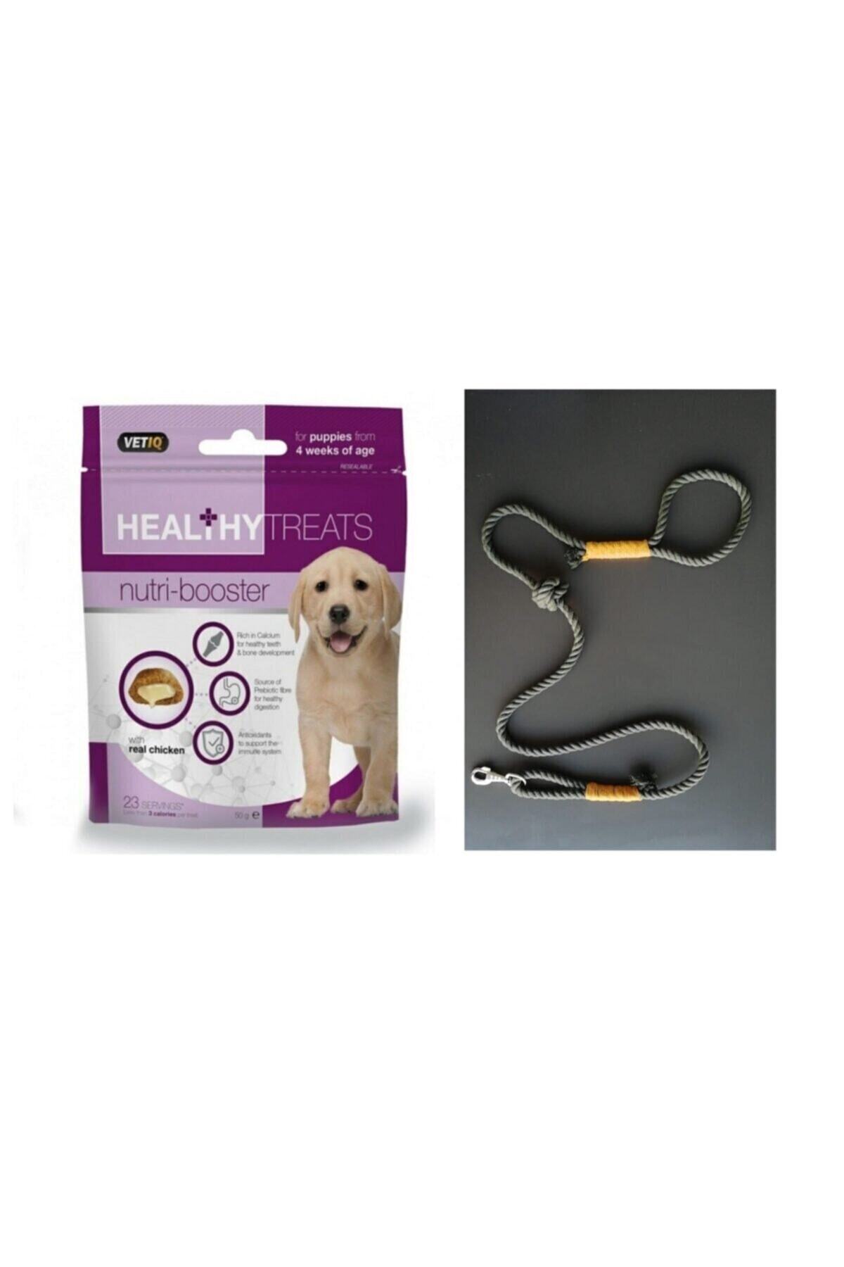 Vetiq Healthytreats Nutri Booster Köpek Ödül Maması Ve Tasma Çifti
