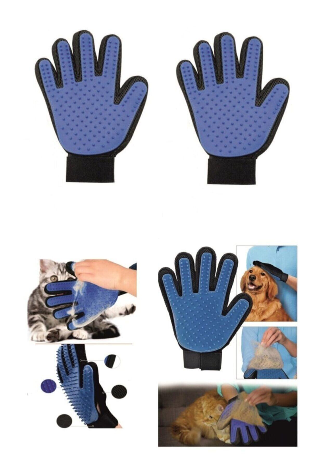 Dr. Sacchi Dr.sacchi Kedi Köpek Tüy Toplayıcı Eldiven 2 Li Set