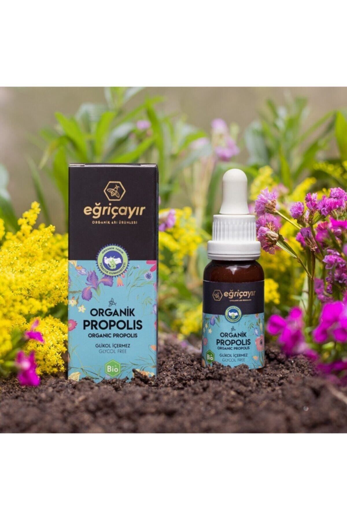 Eğriçayır Organik Su Bazlı Propolis 20 ml