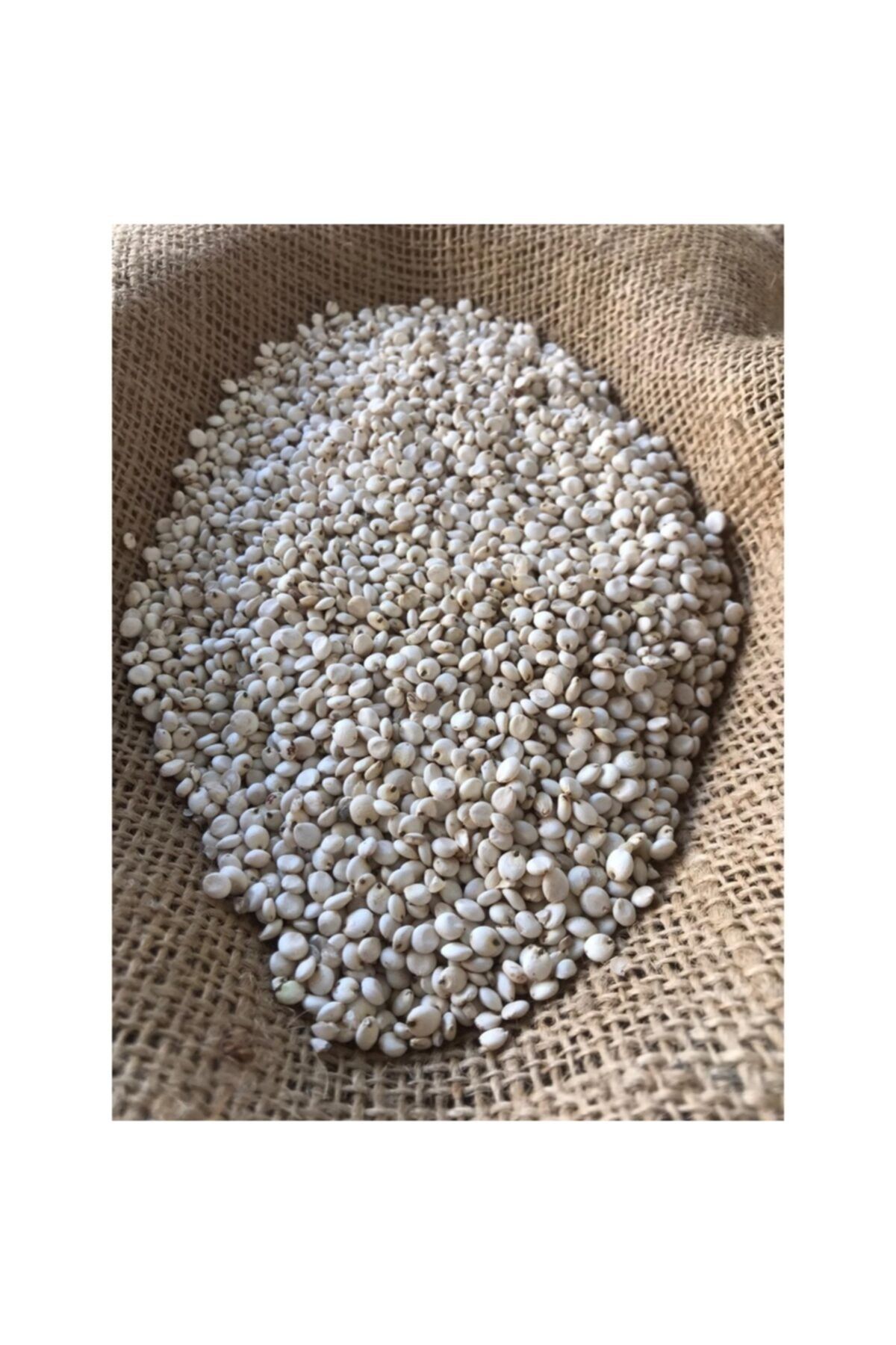 GAKGOŞ YEM Beyaz Sorgum (ak Darı) 1kg