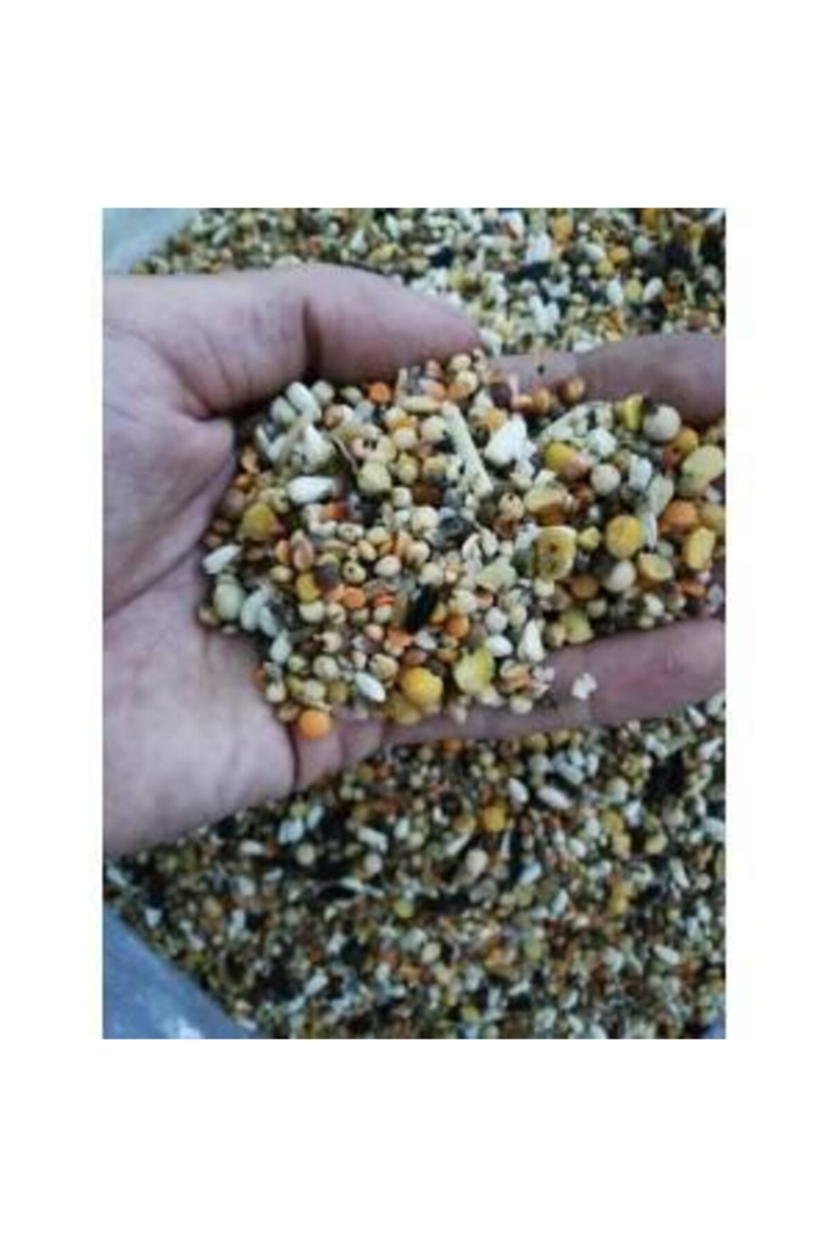 CPYEM 10 Kg Lüks Karışık Kılçıksız Tavuk Yemi Güvercin Yemi Süper Karışık Yem Tane Tane Tozsuz