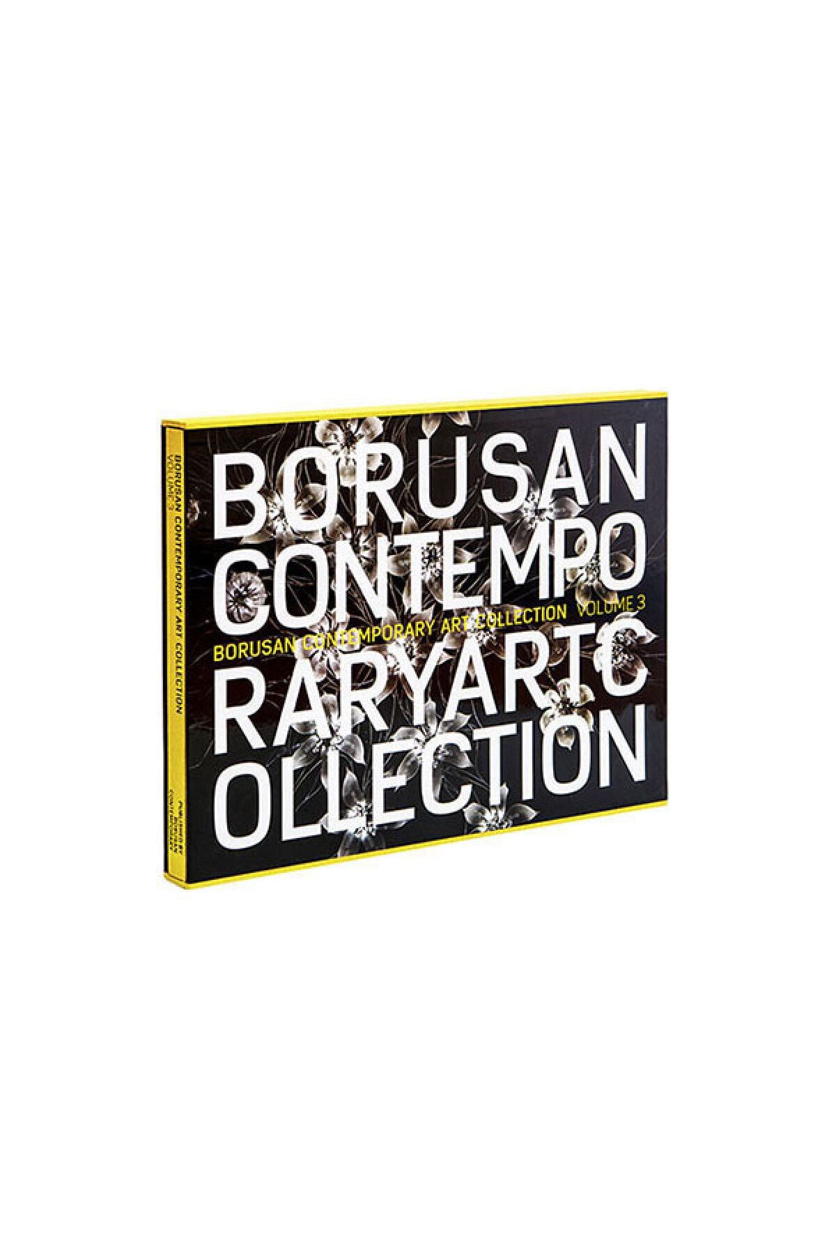 Borusan Kültür ve Sanat Yayınları Borusan Contemporary Art Collection V.3