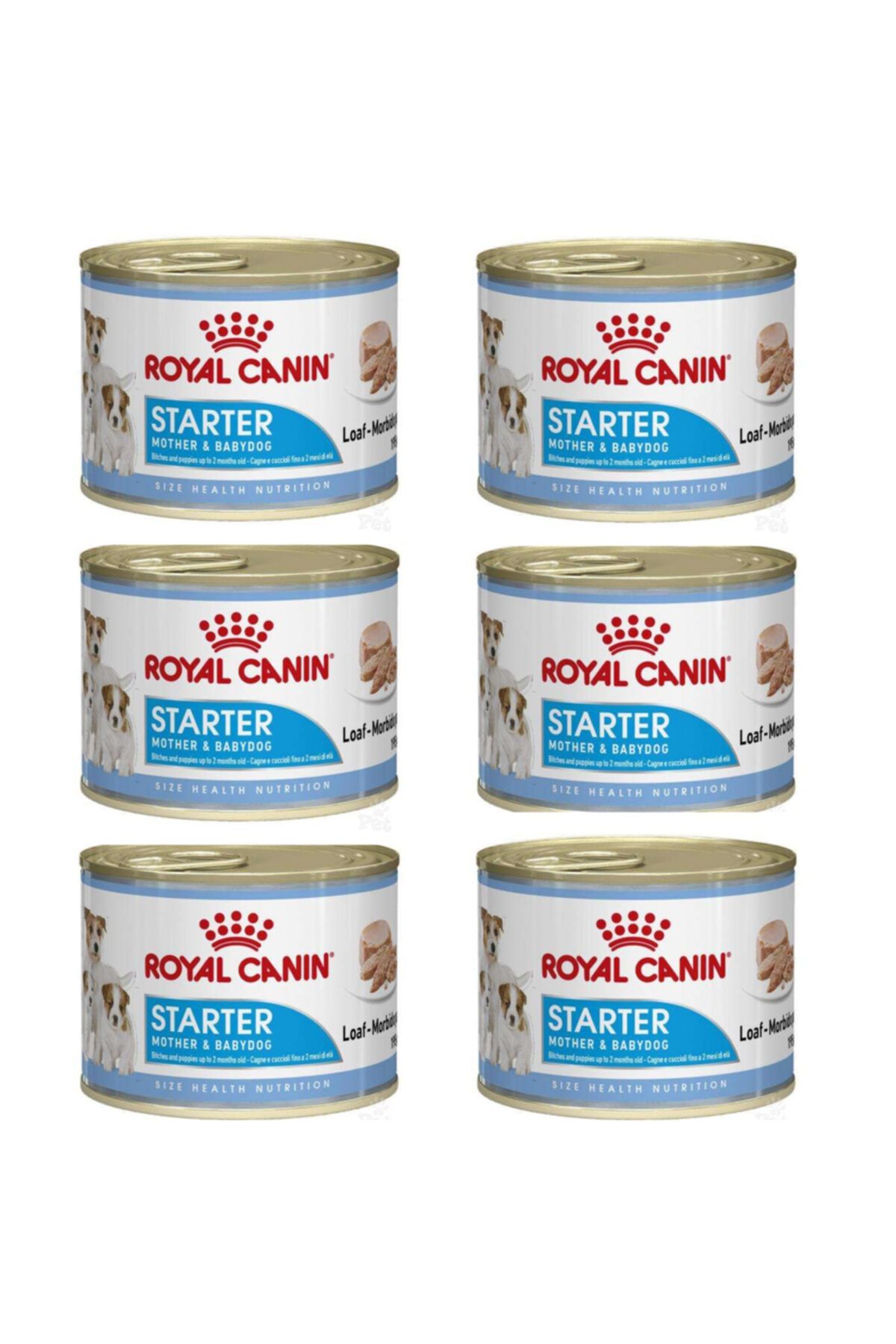 Royal Canin Starter Mousse Yavru Köpek Konservesi 195 Gr - 6 Adet