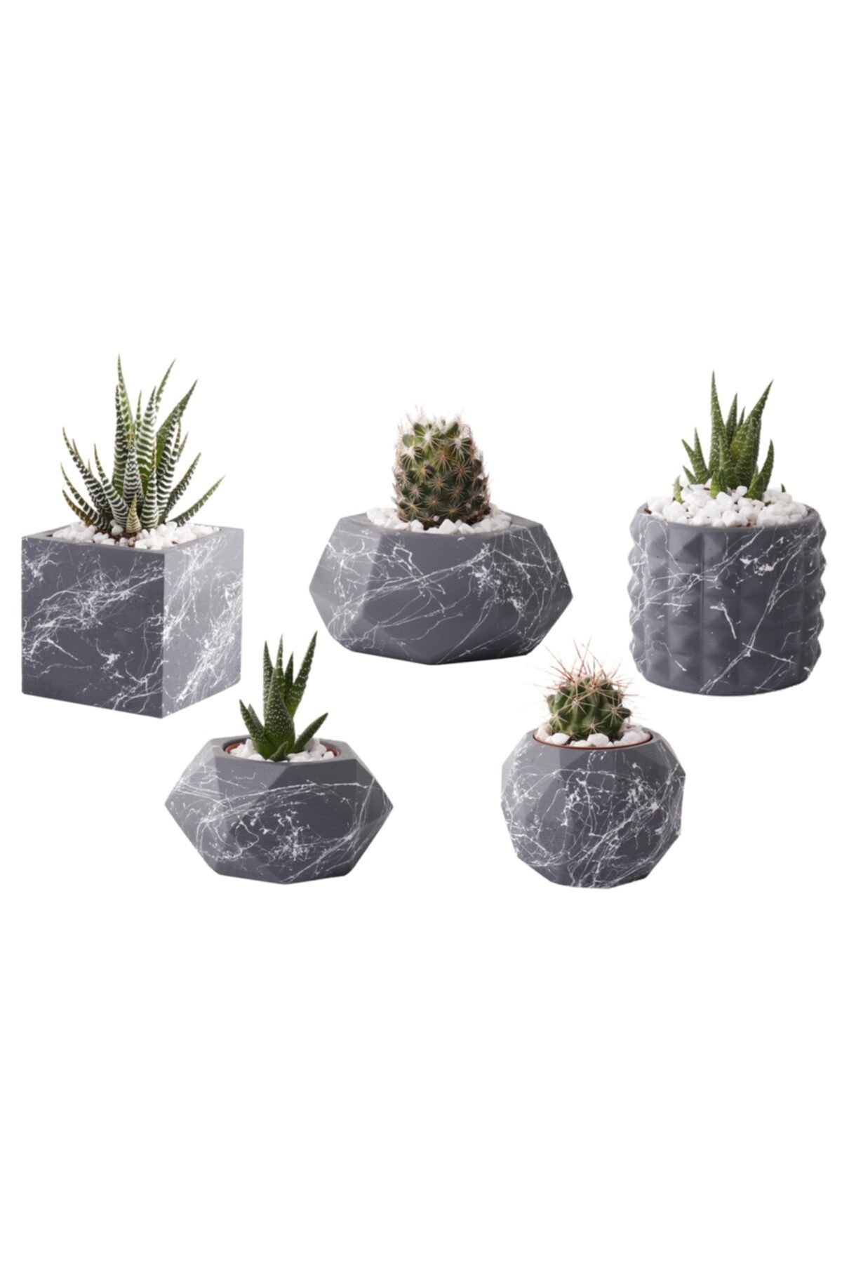 MET Dekorasyon Beton Saksı Kaktüs Ve Sukulent Gri Beyaz 5'li Saksı