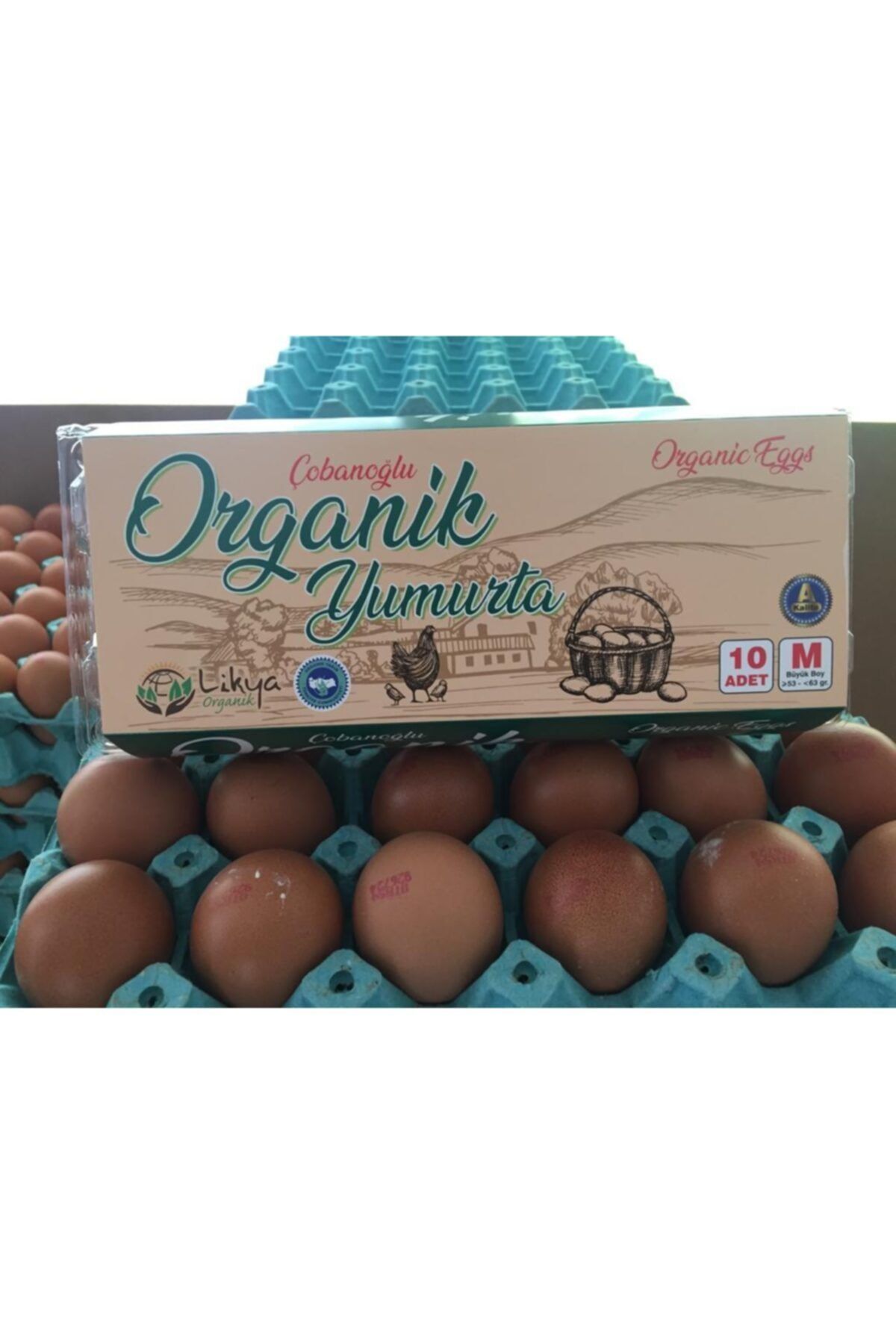 Çobanoğlu Organik Yumurta 30 Adet Çiflikten Kapınıza Günlük