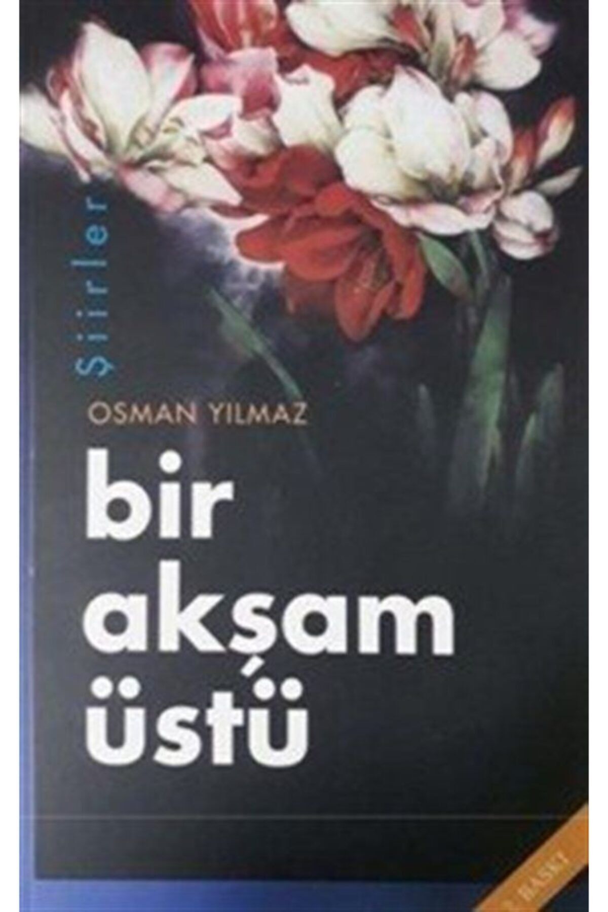 Töz Yayınları Bir Akşam Üstü