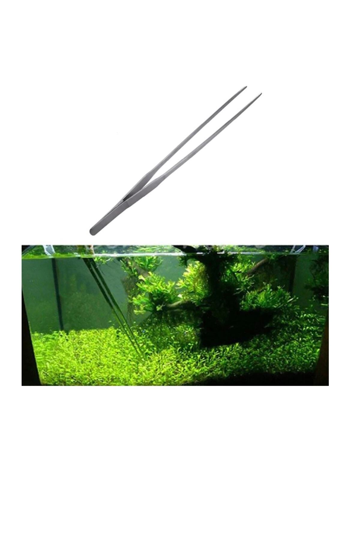 ARMATÜRK Akvaryum Bitki Cımbızı, Maşası Düz Uçlu 27 Cm