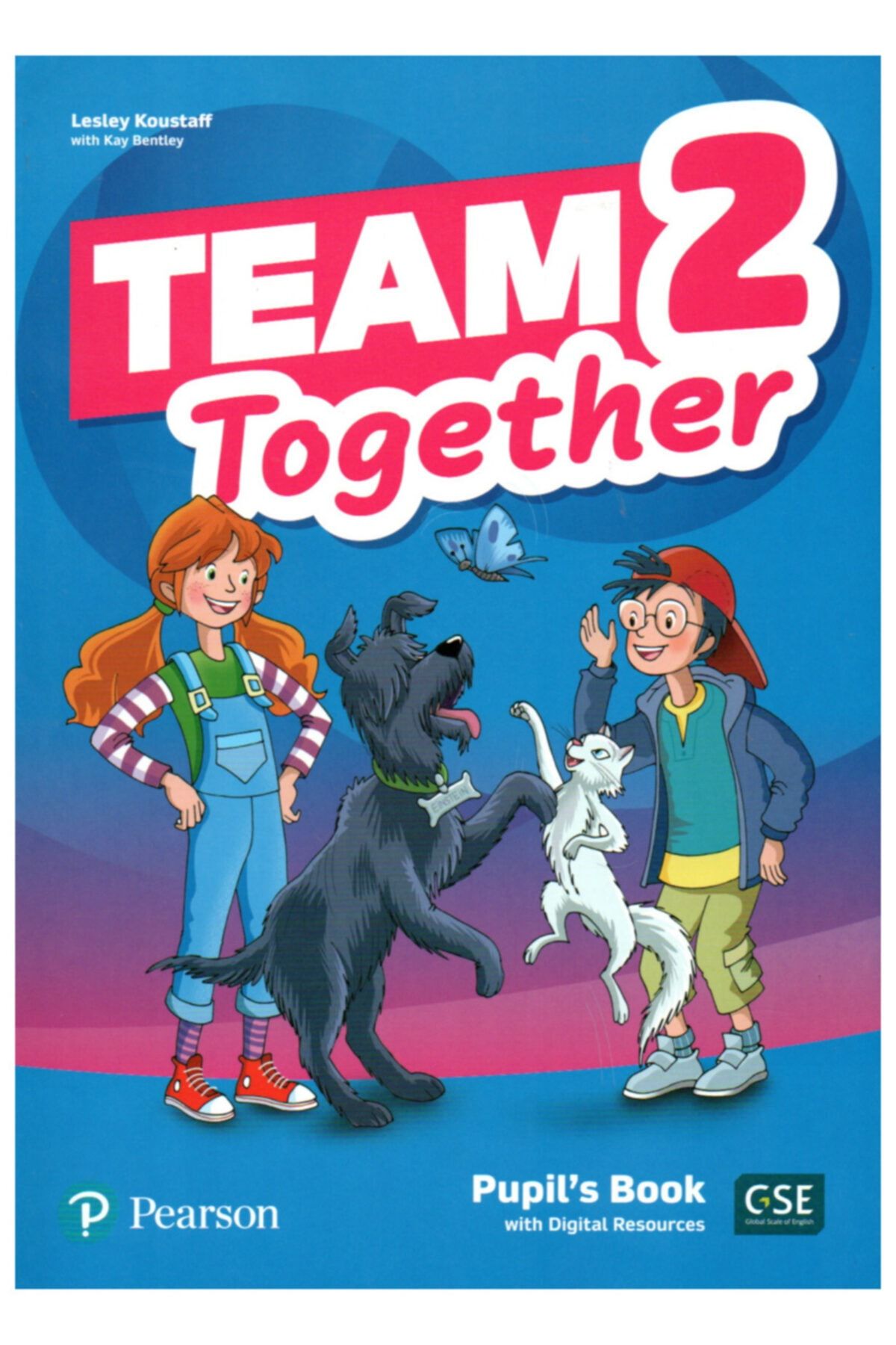 Pearson Yayınları Team Together 2