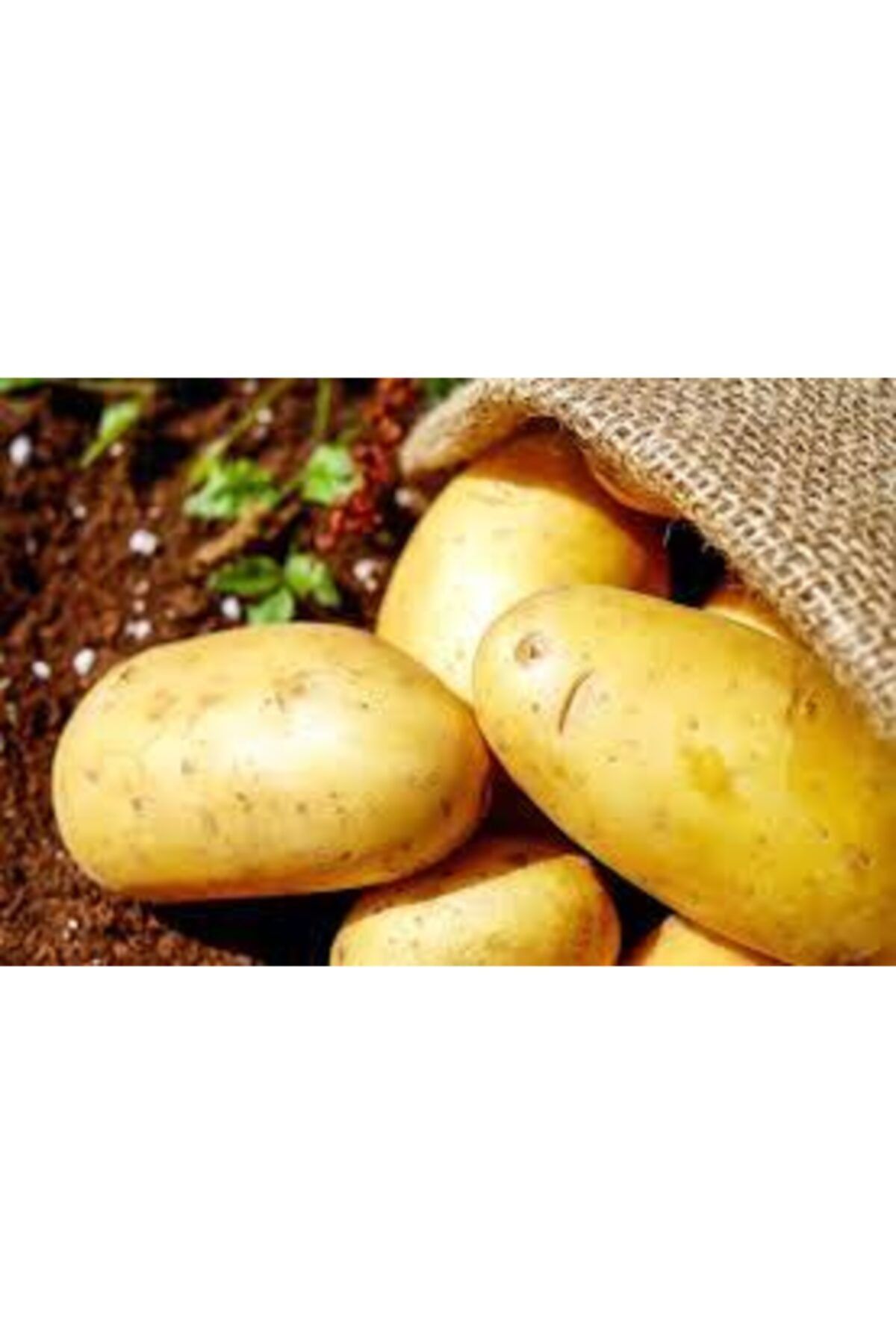 NAR50 Nevşehir Kızartmalık Patates 5 Kg