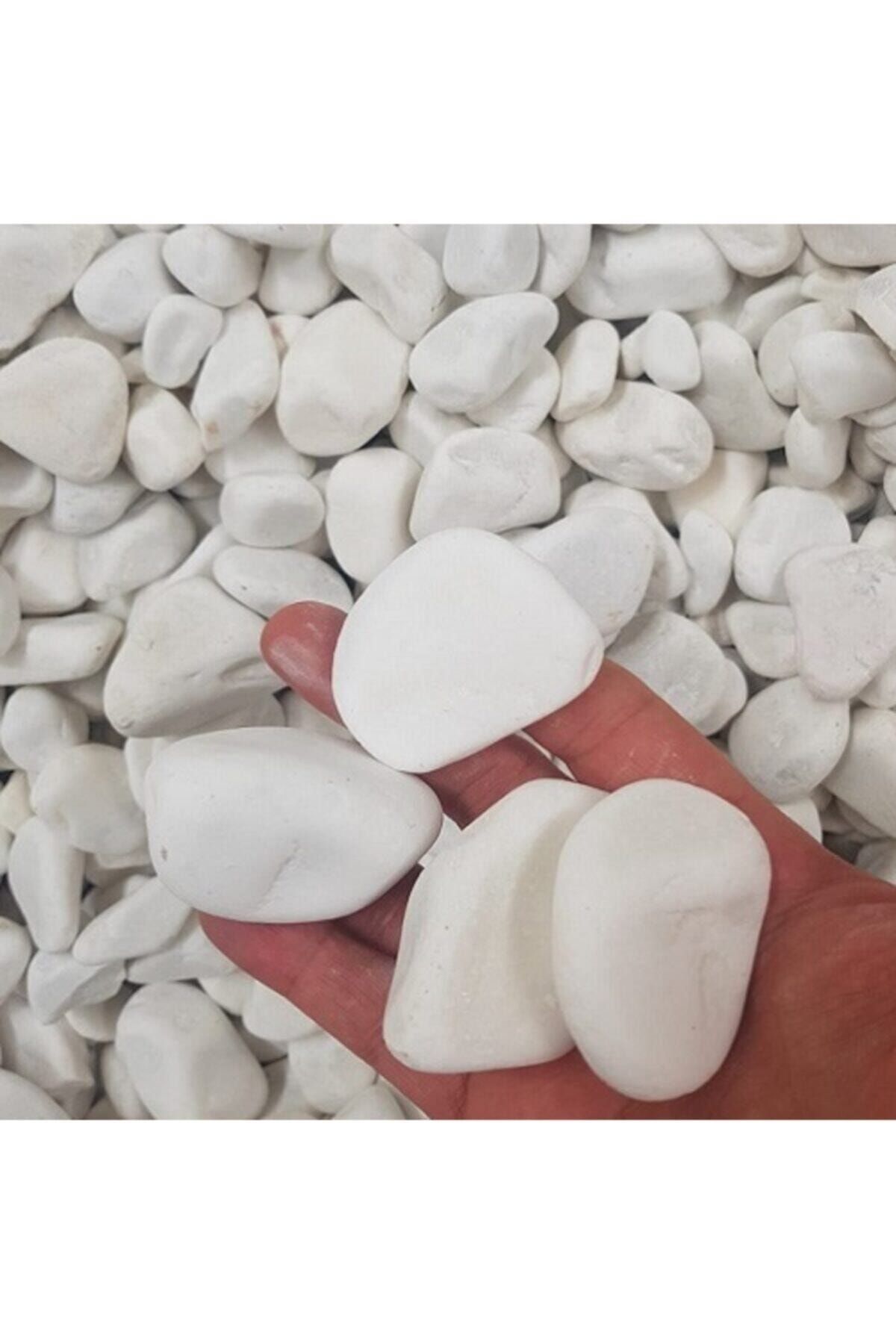 Ekodoğa Beyaz Dolomit Taş 5 Kg 2-4 Cm Dere Çakıl Taşı Bahçe Süs Taşı Saksı Teraryum Taşı Akvaryum Taşı
