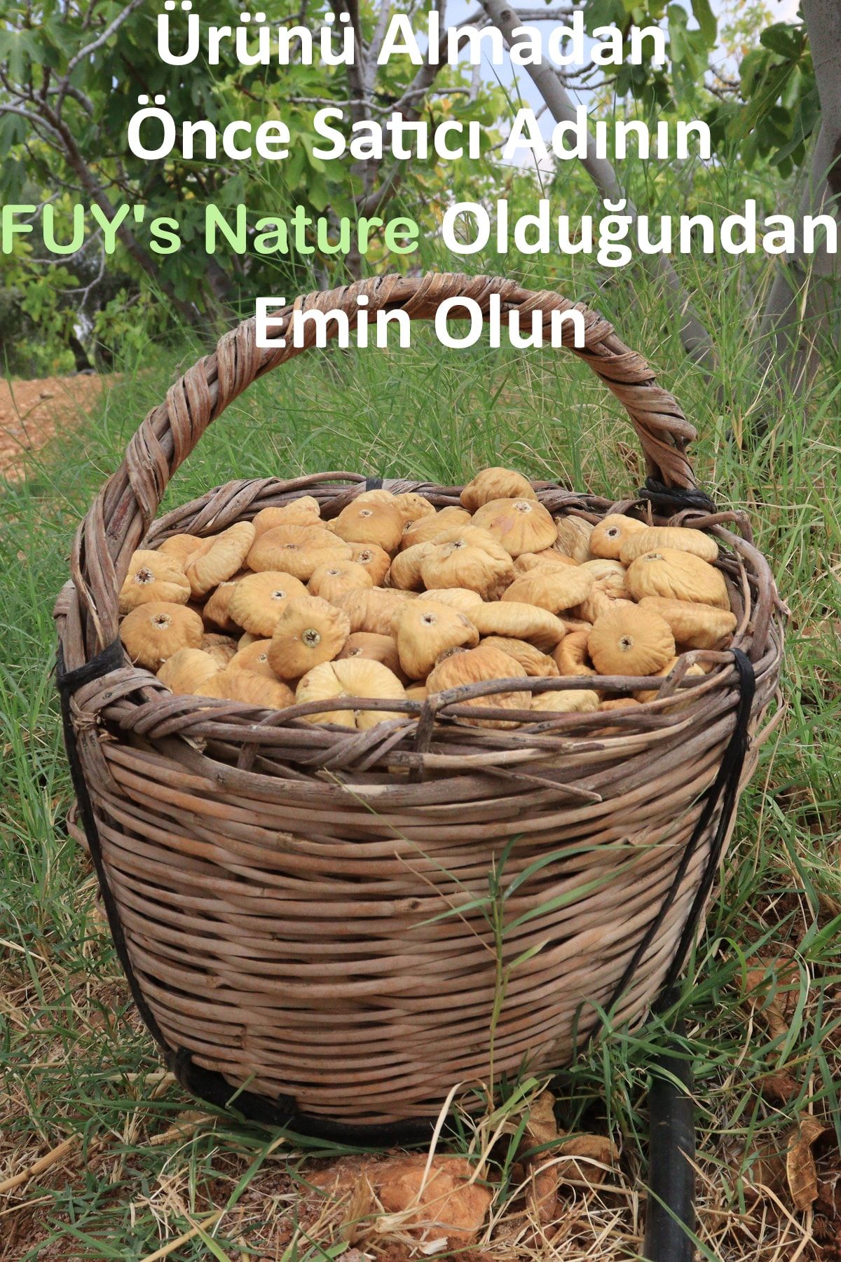 fuys 2021 Yılı, Yeni Hasat Aydın 1.kalite Seçme Kuru Incir 1 Kg.