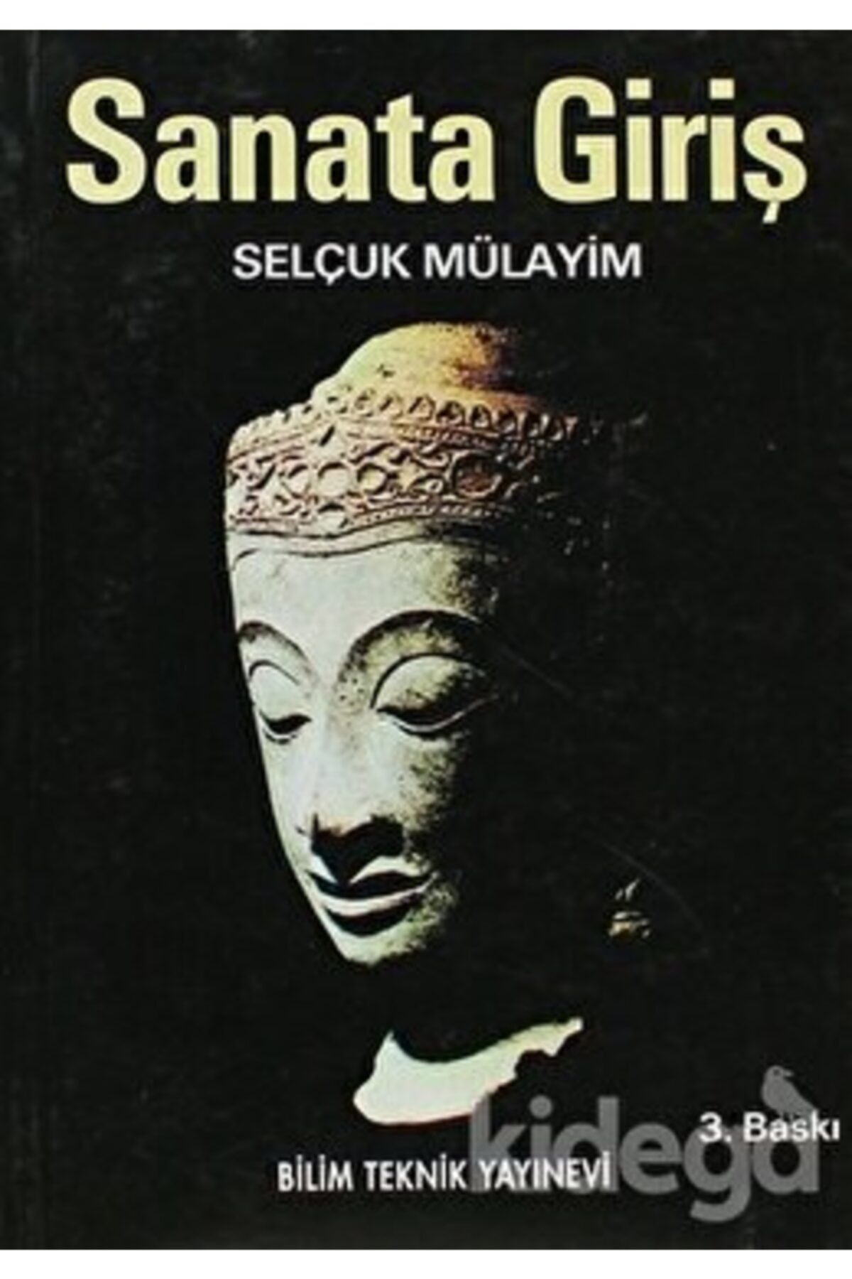 Bilim Teknik Yayınevi Sanata Giriş