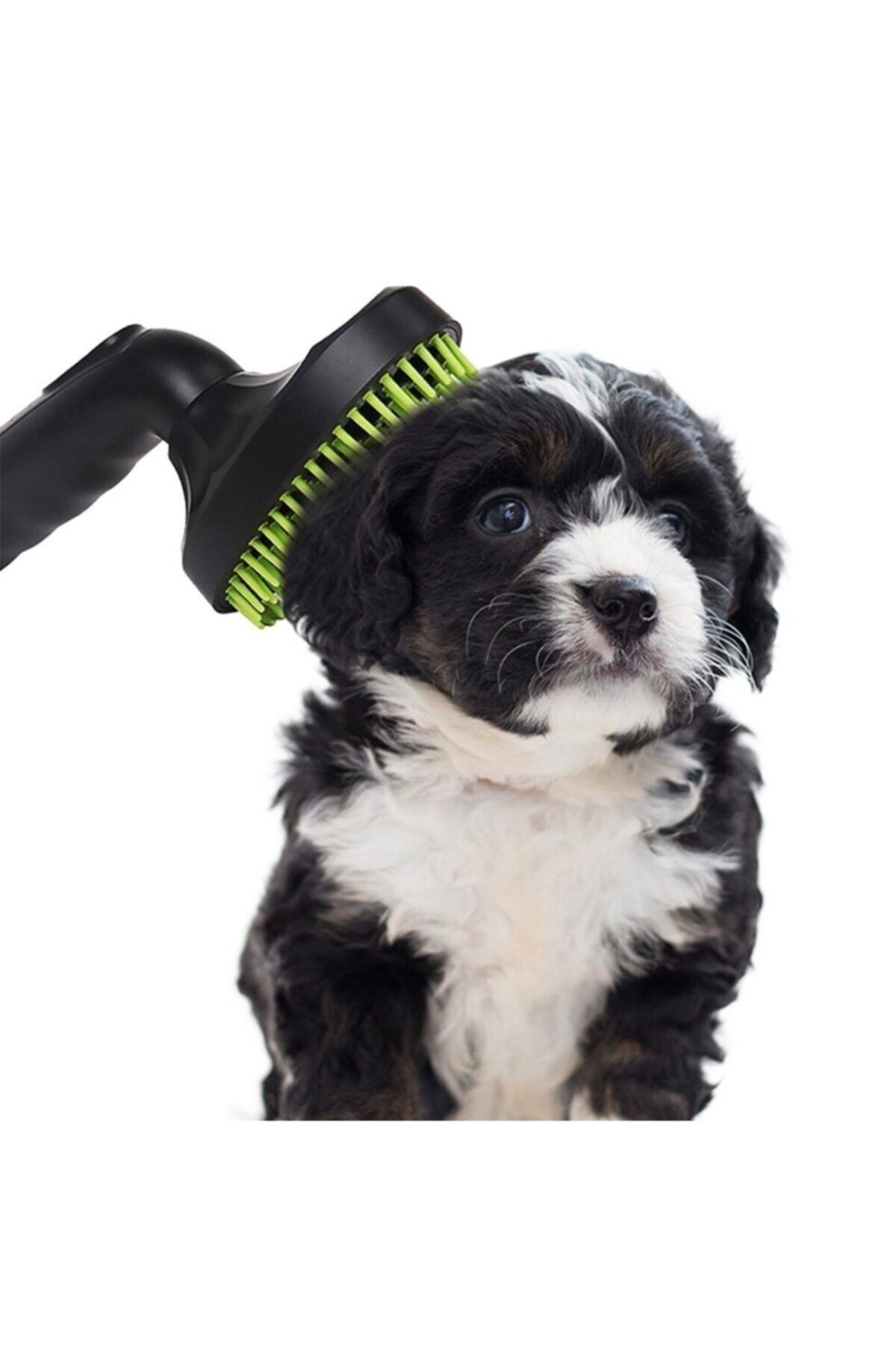 ZAVANSA Süpürgeye Takılan Kedi Köpek Tarama - Tüy Alma Fırçası