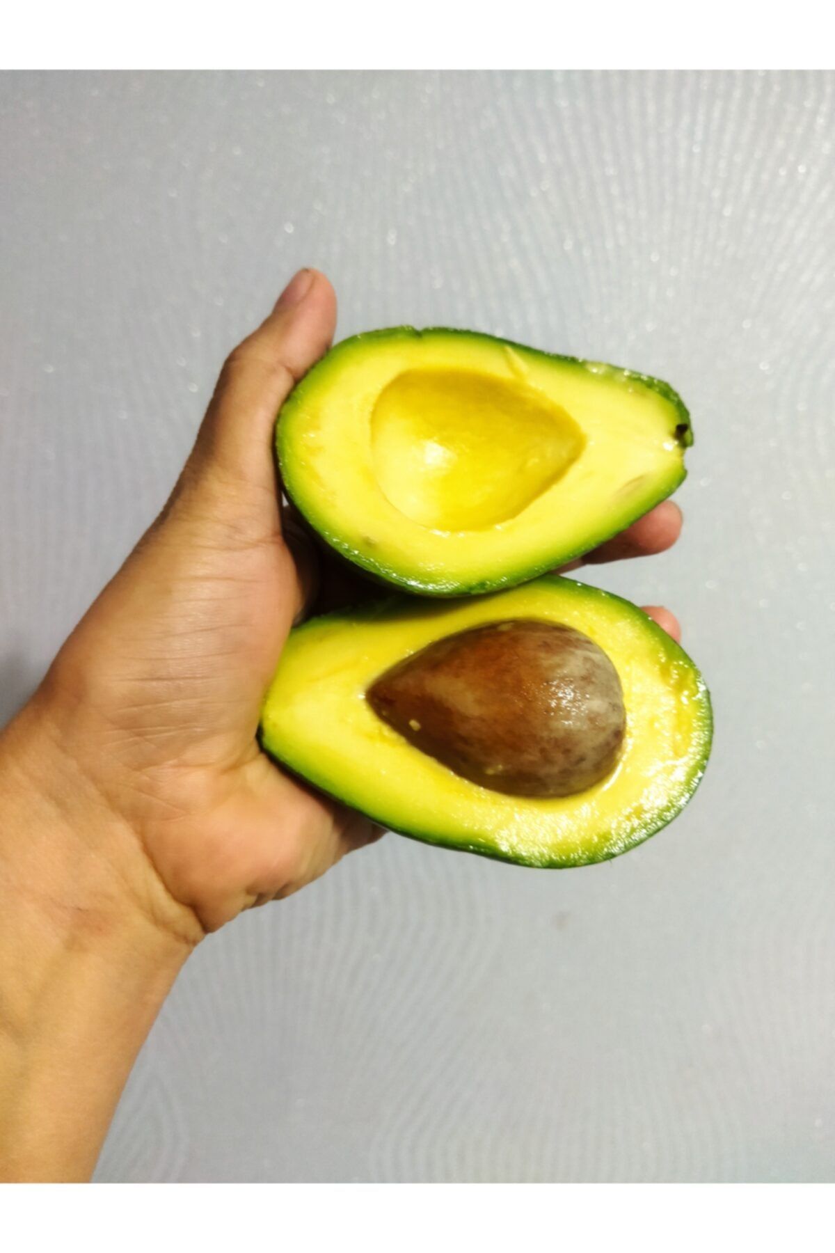 alibabatropikal Kiloluk Avokado 3 Kilo gram