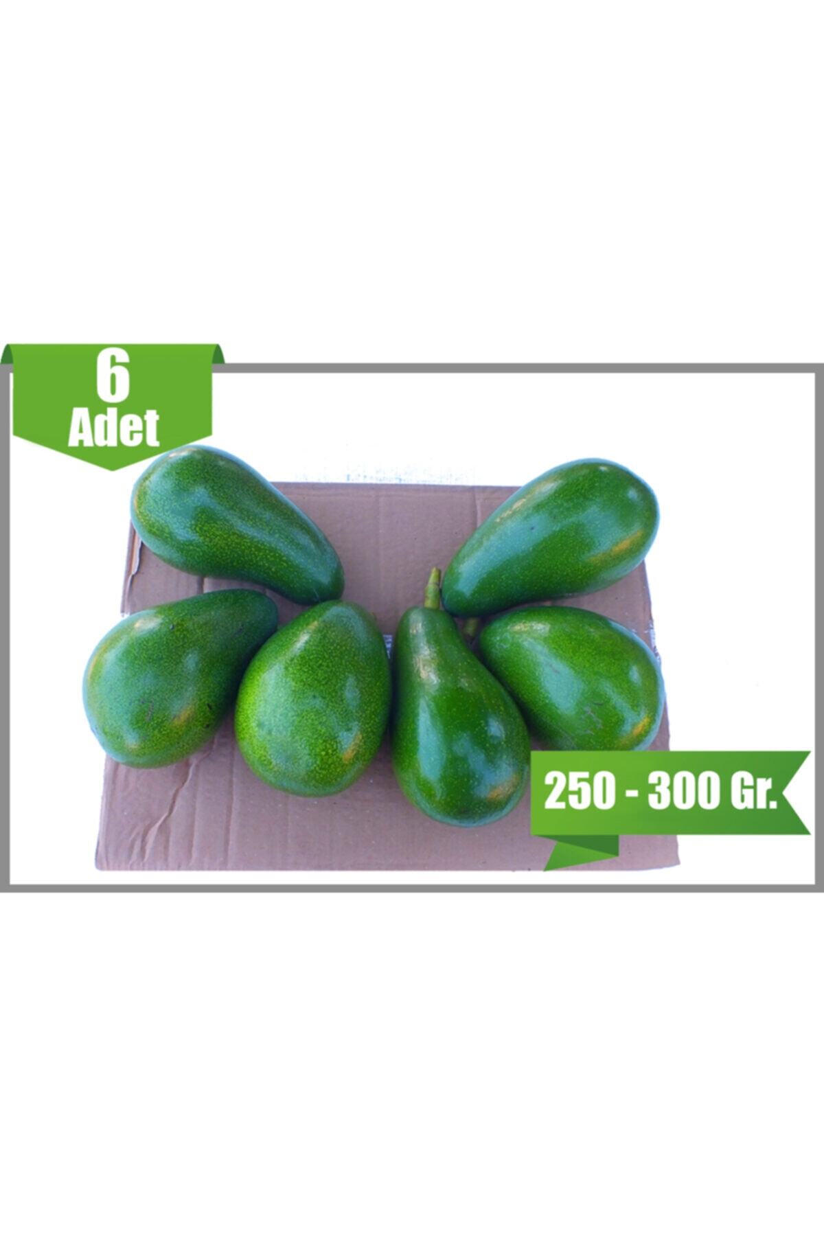 Avokado - 6 Adet - (adet 250-300 Gr.) - Iyi Tarım Uygulaması