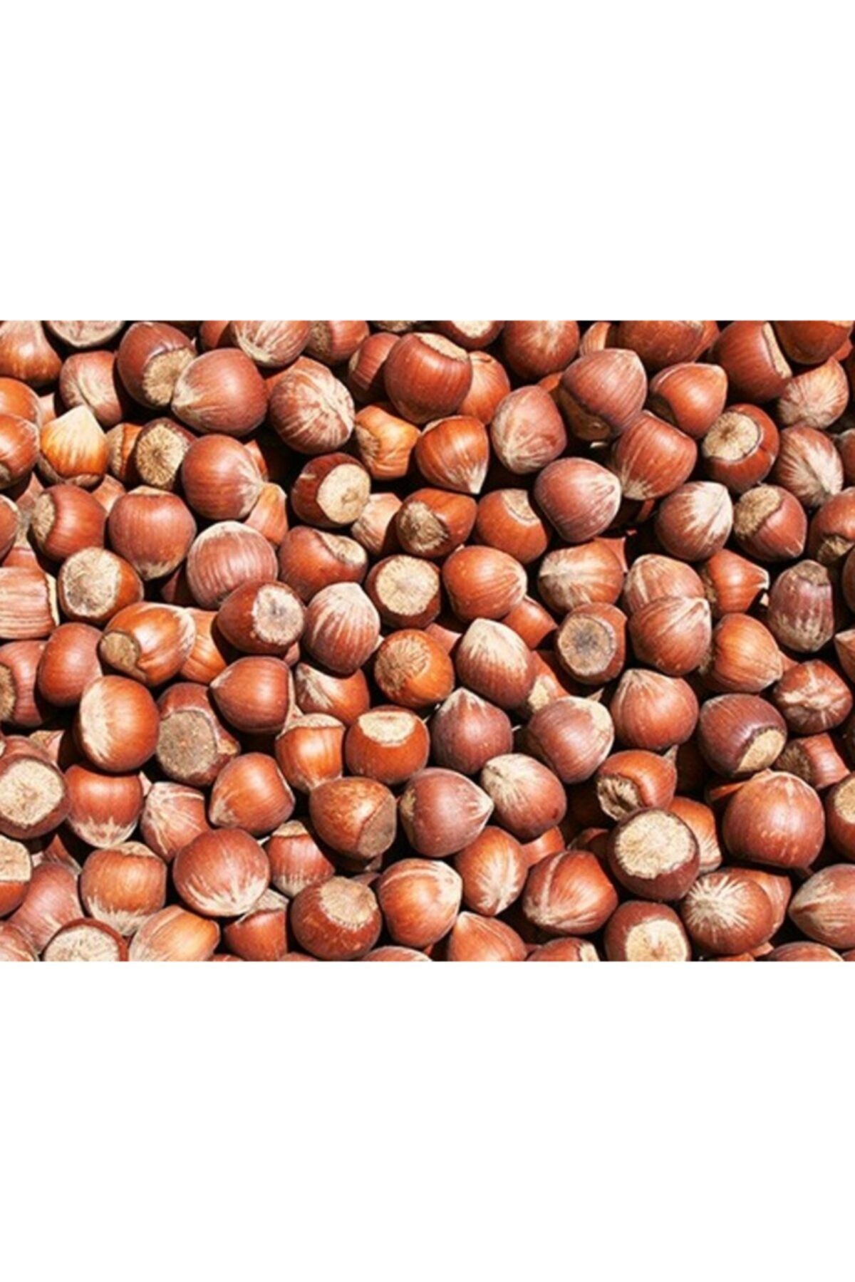 Polesie %100 Doğal Kabuklu Fındık 1 Kg