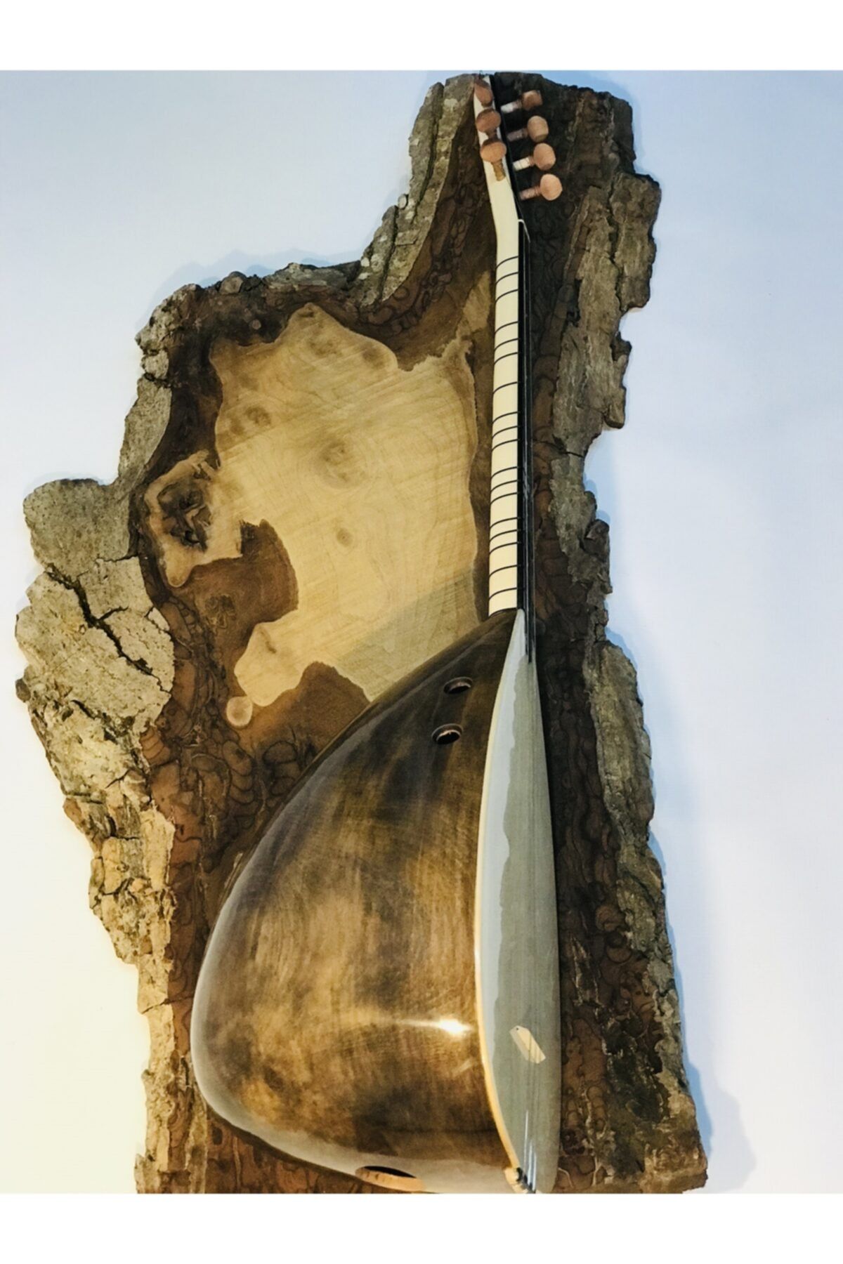 Bircanmüzik Profesyonel Oyma Kestane Kısa Sap Bağlama