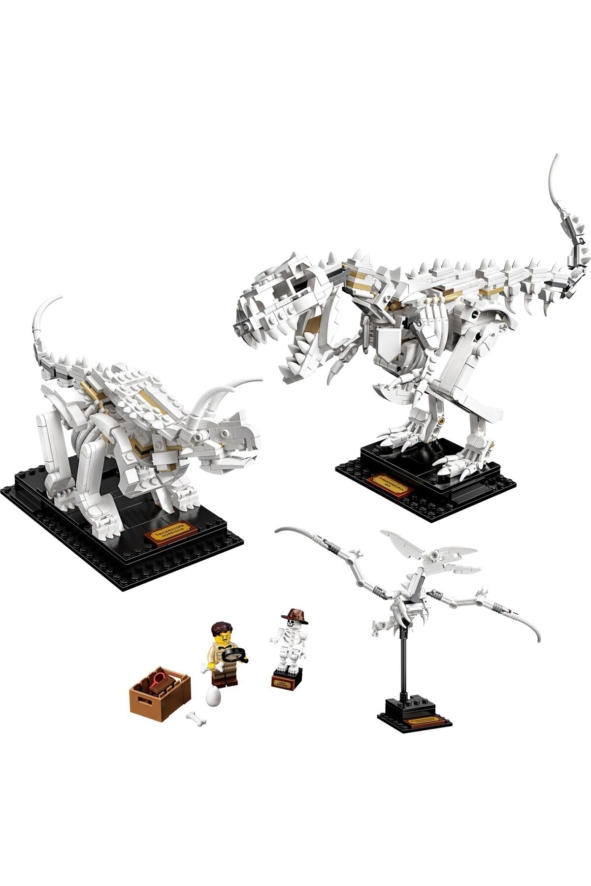 LEGO Ideas 21320 Dinazor Fosilleri