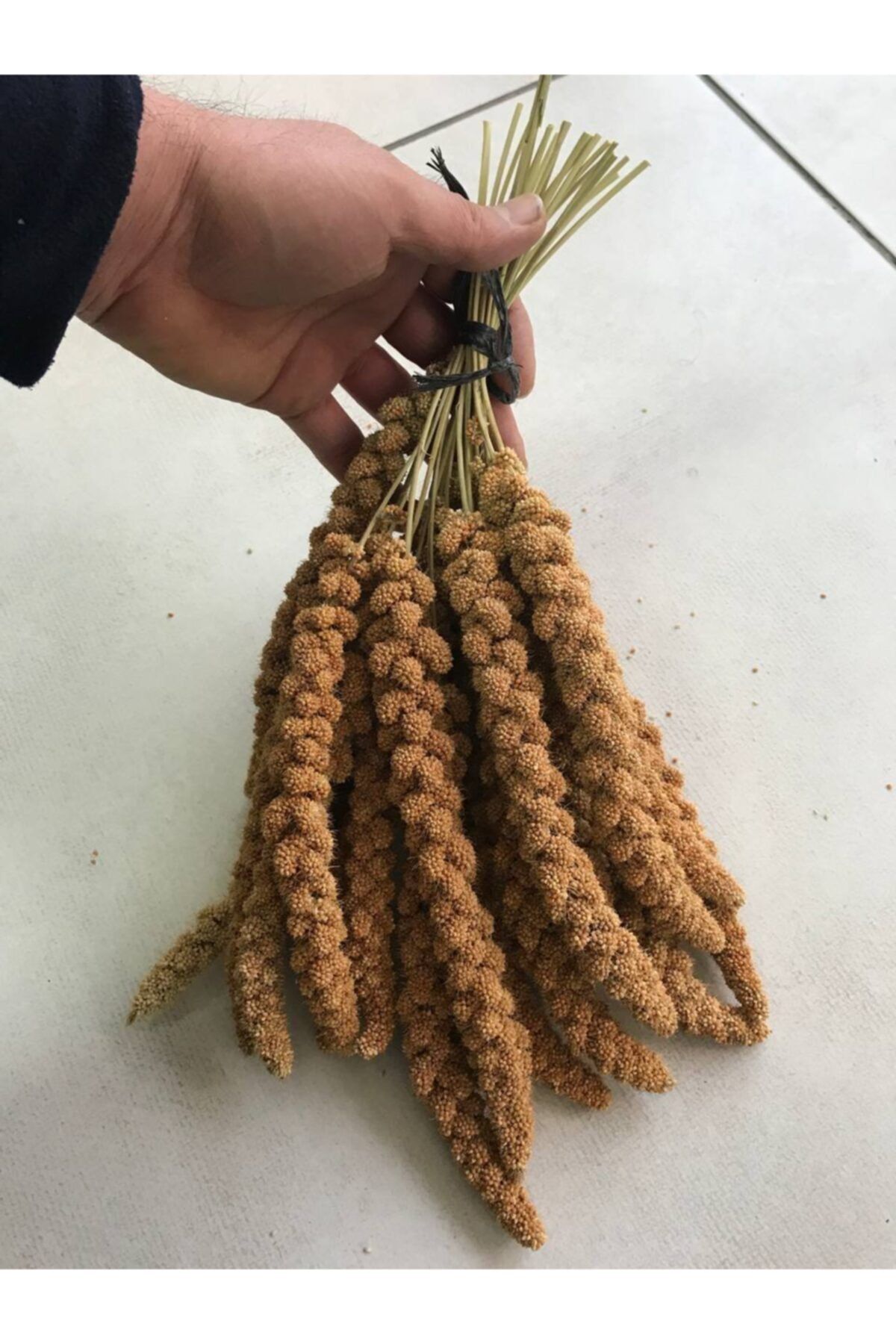 ALTIN EKİN Doğal Kızıl Dal Darı 1 Kg